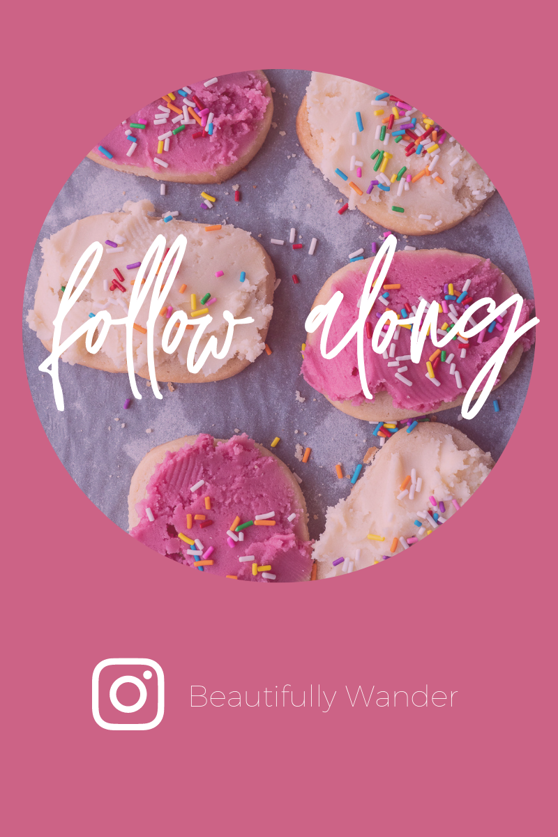 Beautifully Wander Instagram Link