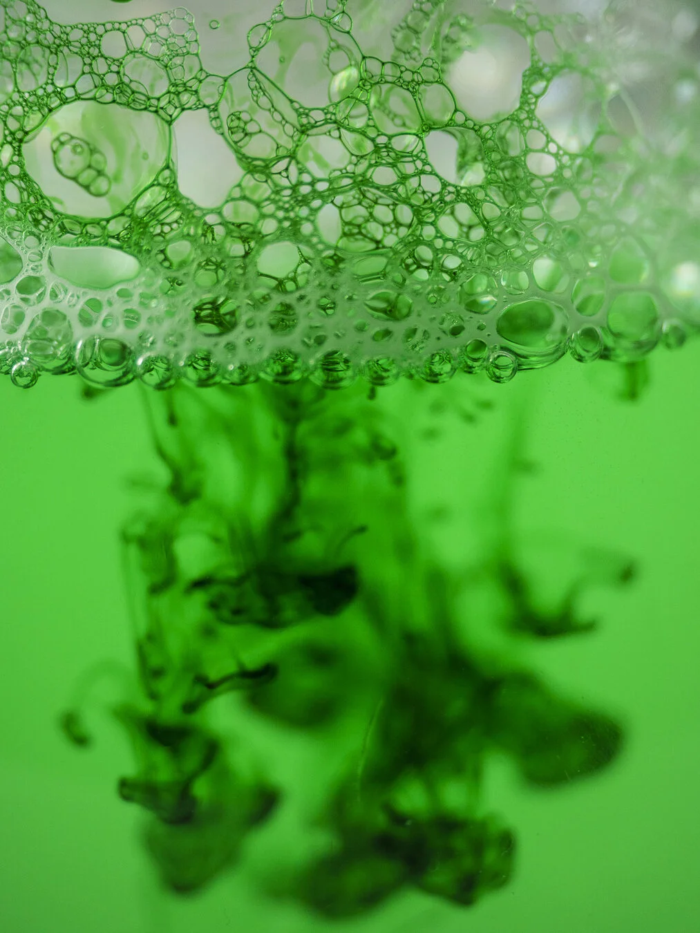 Food Dye in Water Photography + Photography Challenge Create with Me