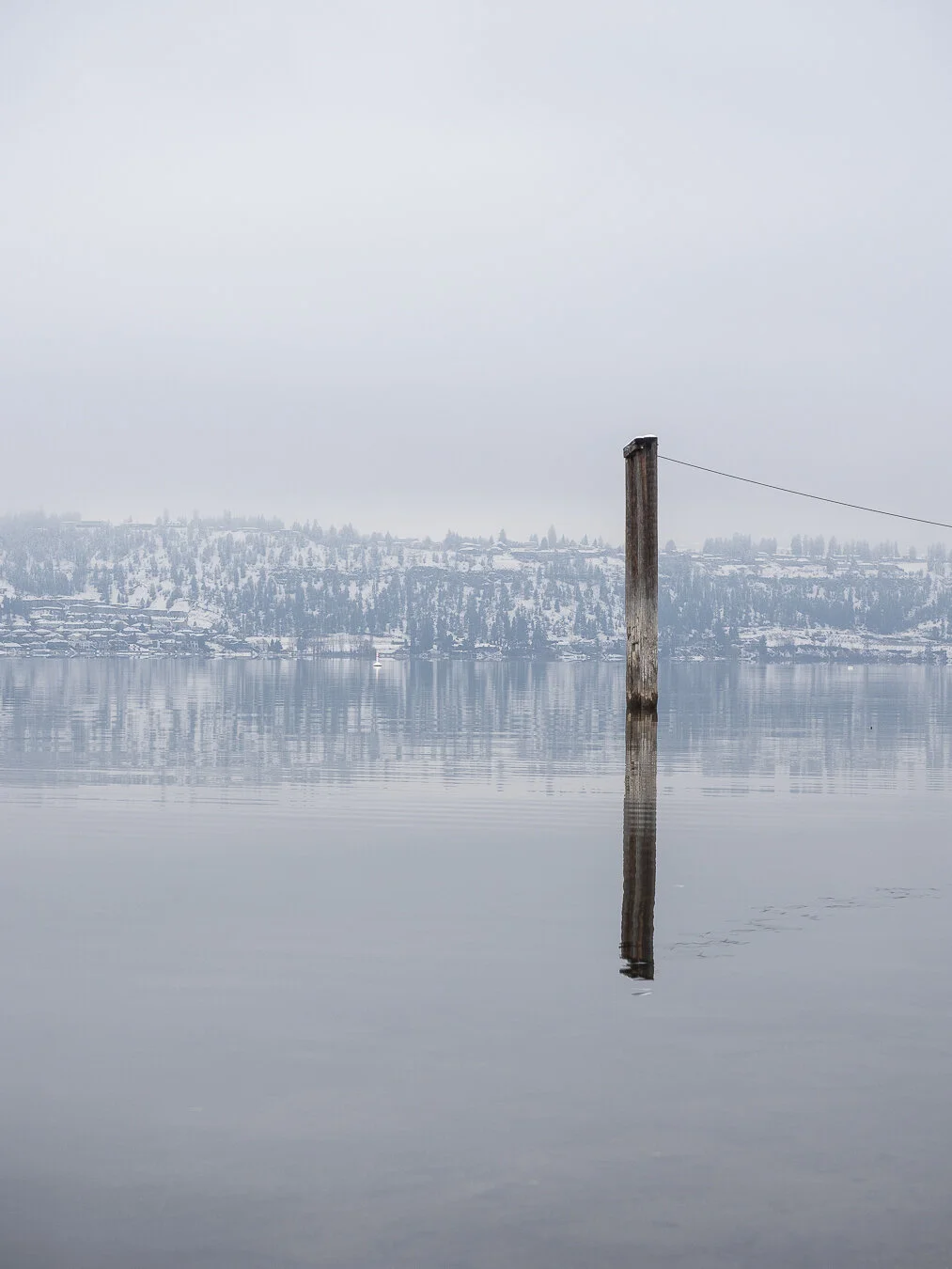 Okanagan lake was very calm so it reflected all the details surrounding the lake.