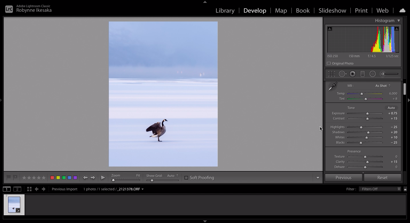 Rotary Beach Goose after Basic Edits