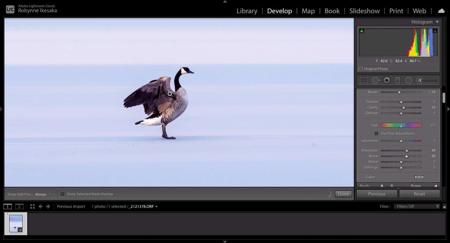 Rotary Beach Goose after Adjustment Brush