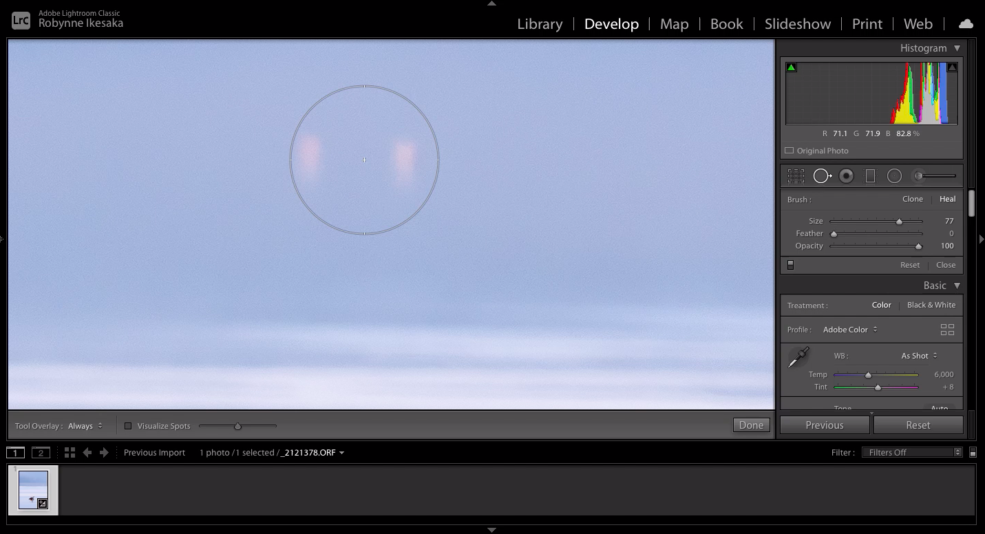 Rotary Beach Goose after Spot Removal