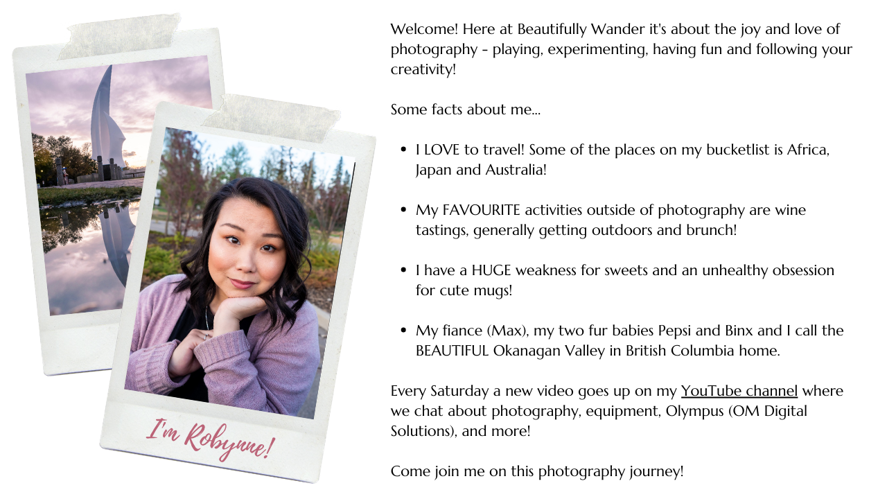 Website Draft (2).png