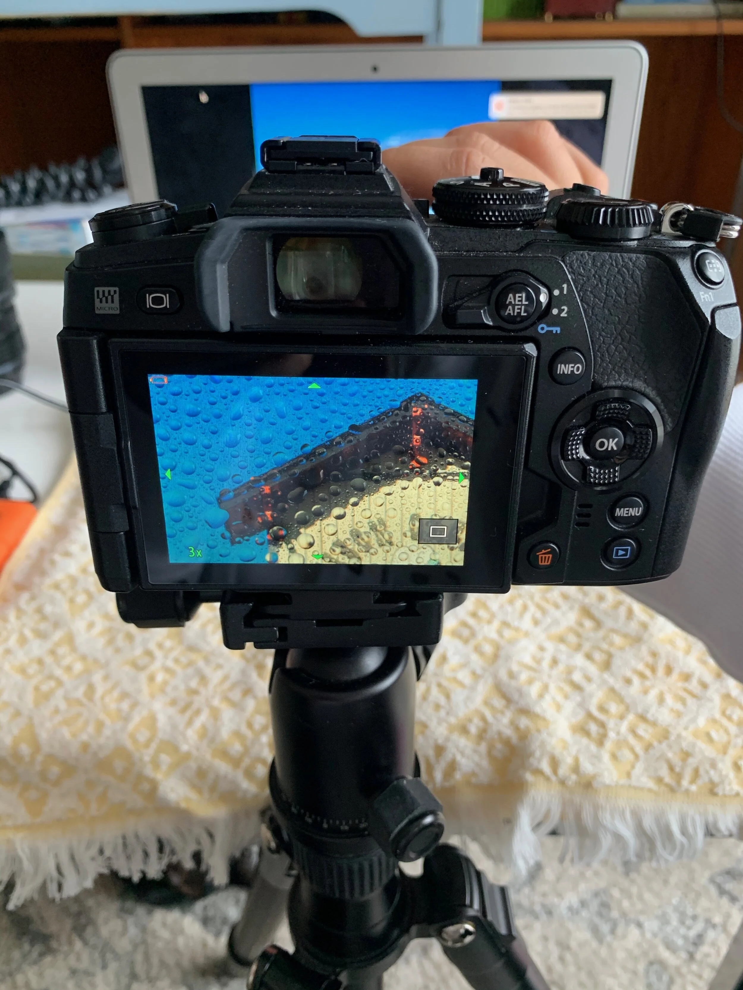 When you turn ‘Manual Focus Assist’ on and you are manually focusing the screen will go to 3x so you can see better if you’re in focus.