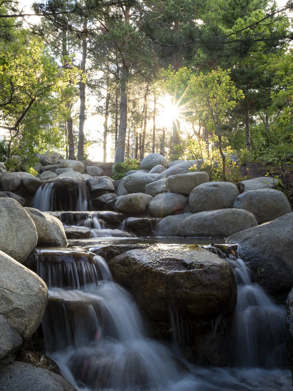 spring morning at tugboat beach-5.jpg