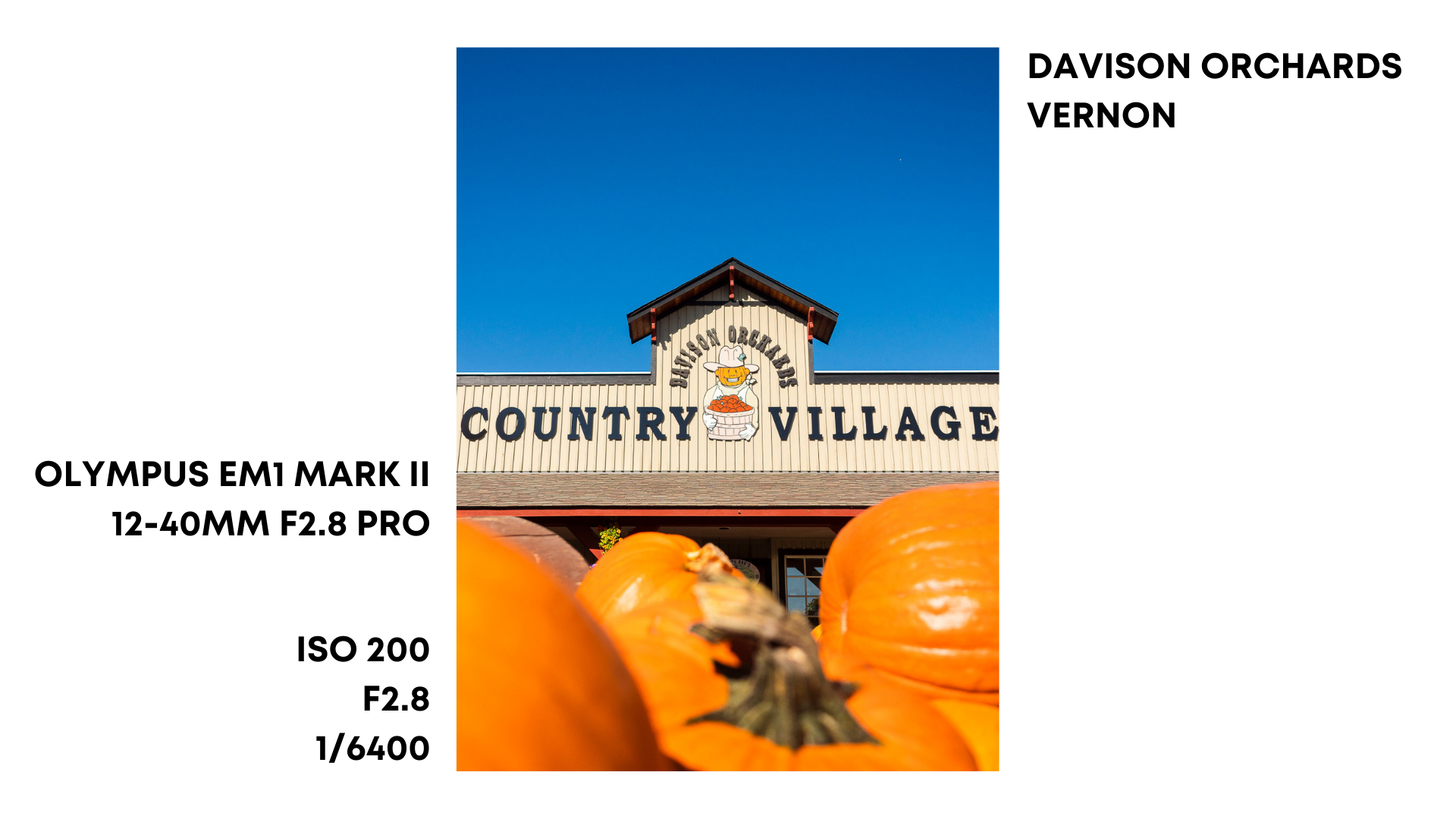 YOUTUBE GRAPHICS (59).png