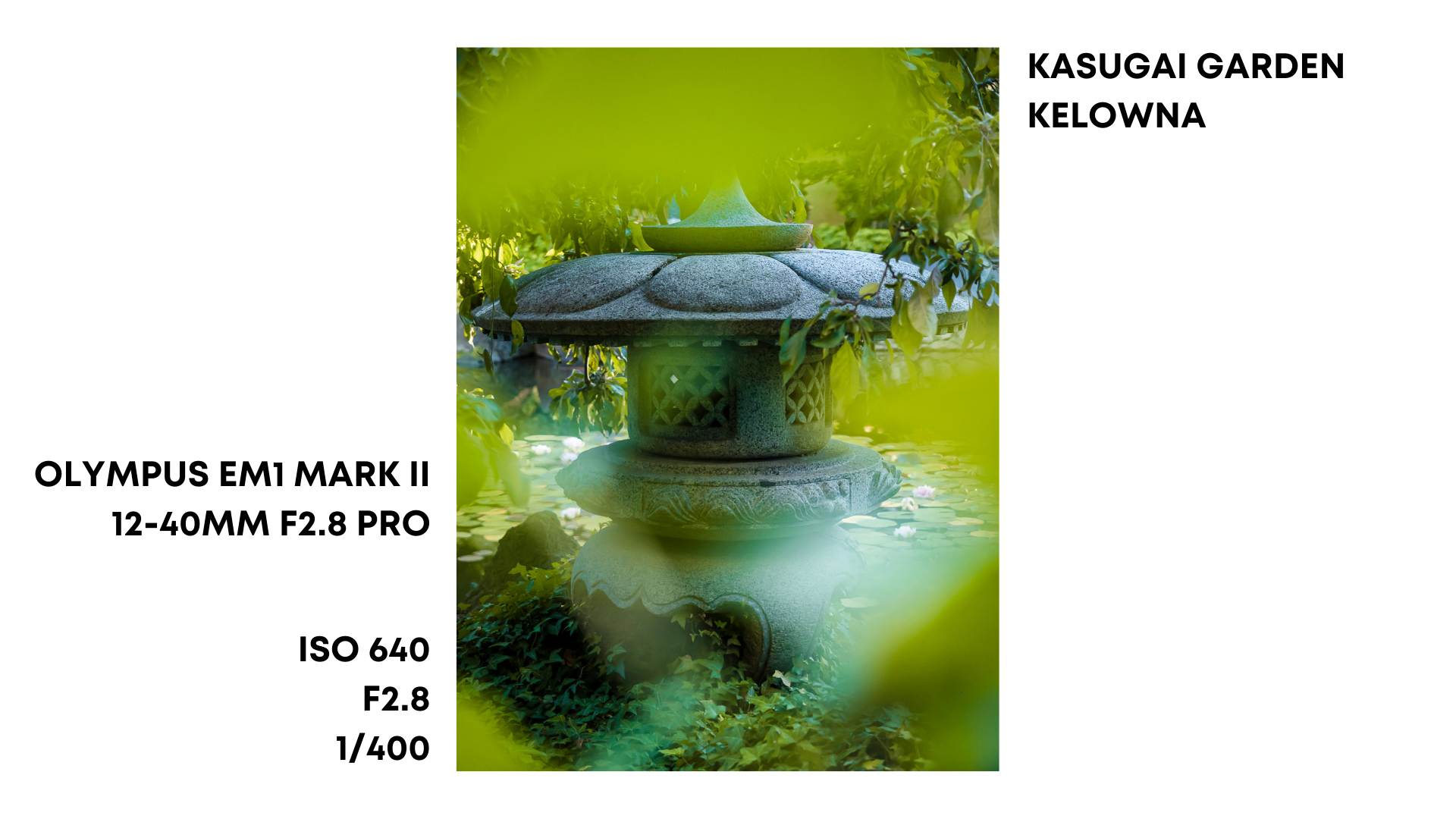 YOUTUBE GRAPHICS (58).png