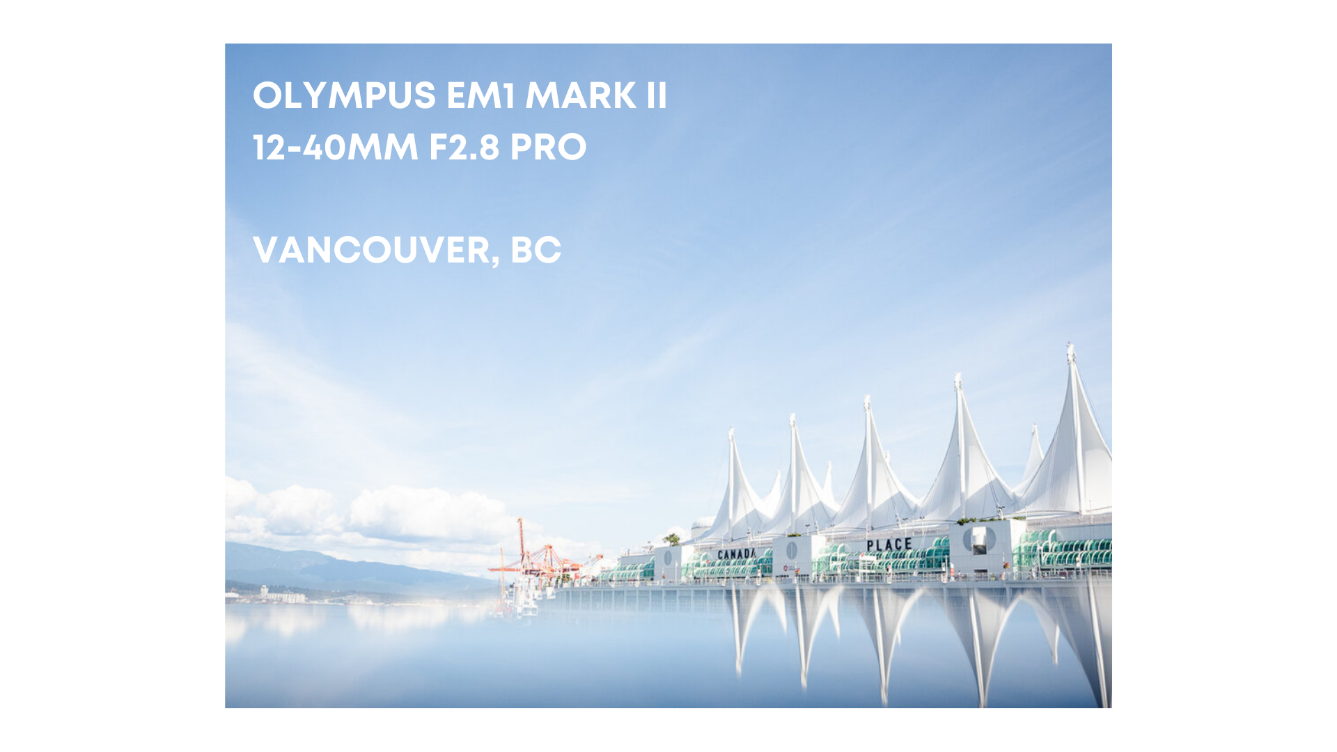 YOUTUBE GRAPHICS (60).png