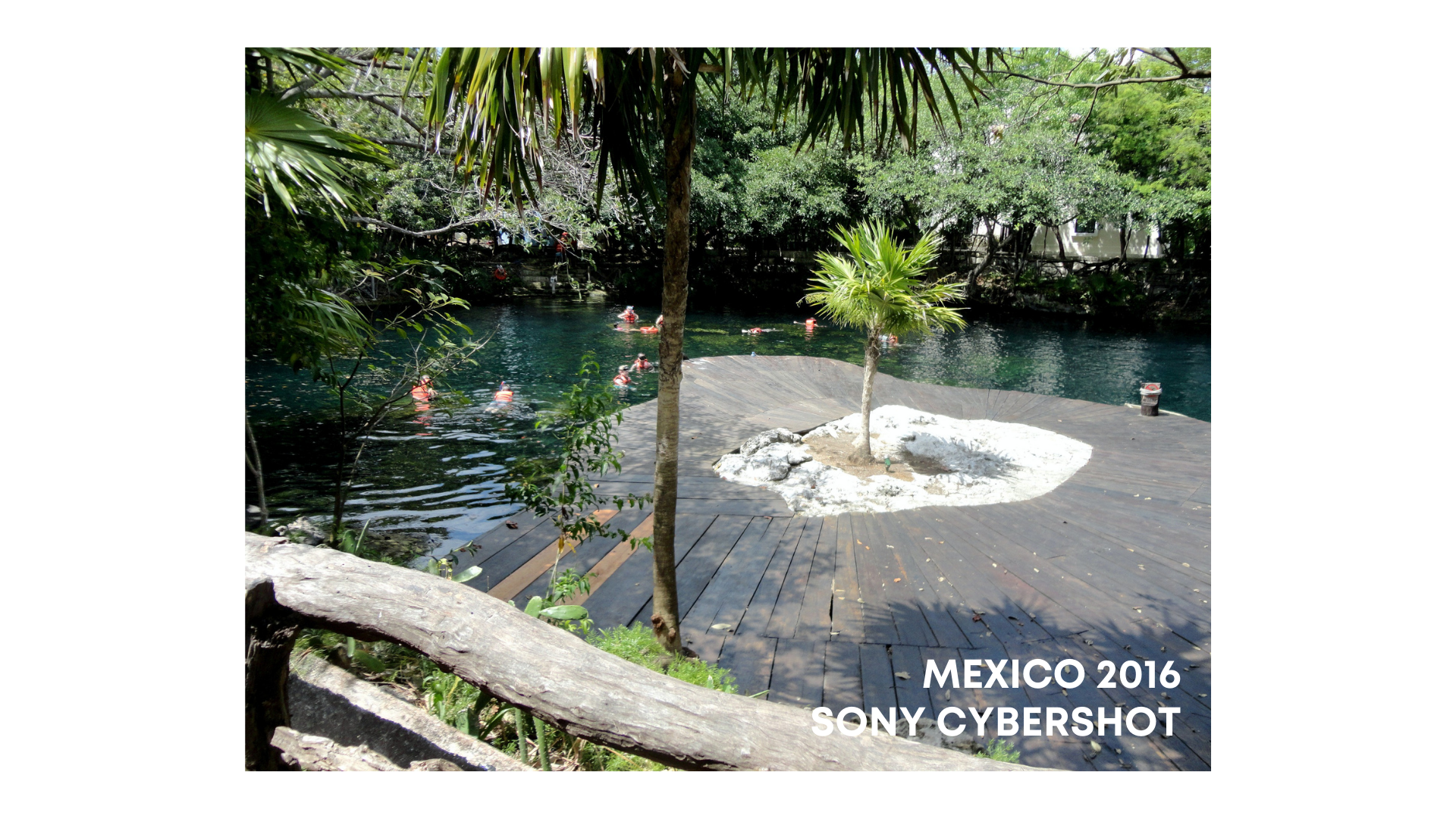 YOUTUBE GRAPHICS (49).png