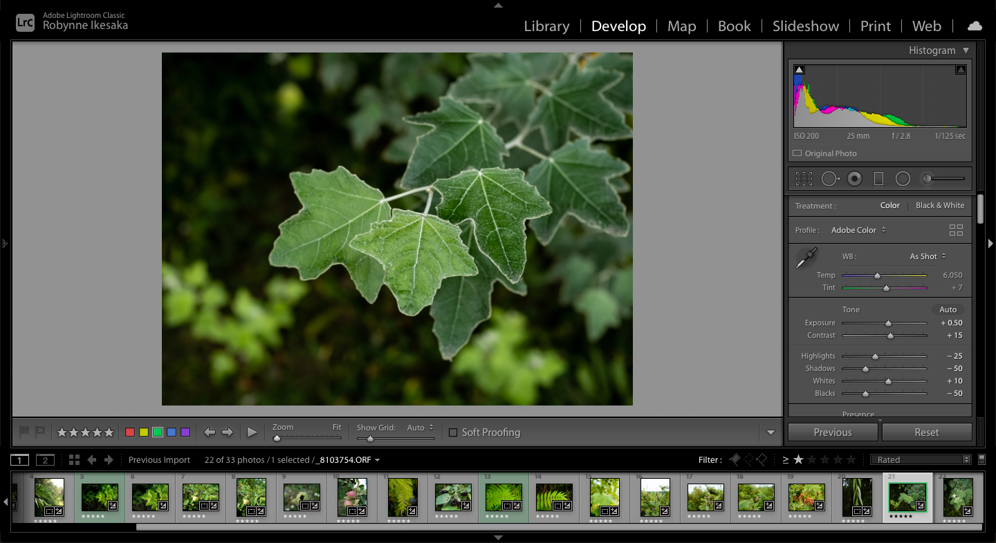 Screen Shot 2021-08-16 at 6.13.36 PM.png