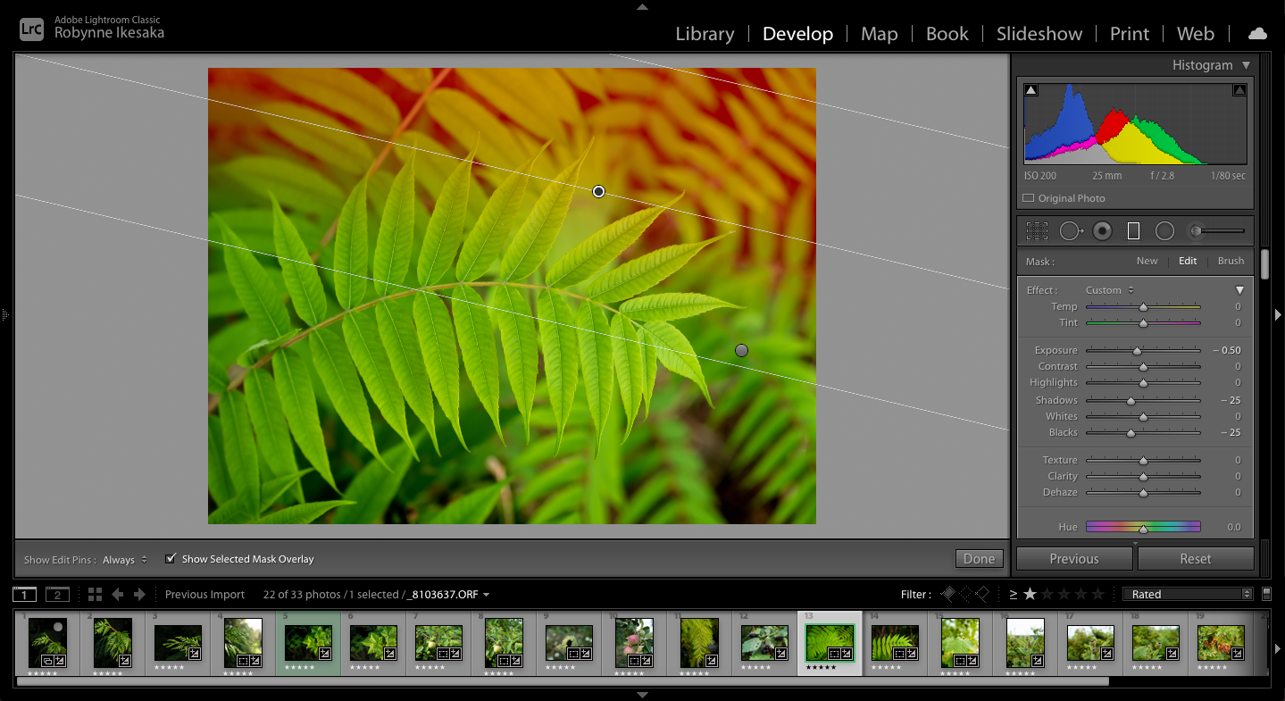 Screen Shot 2021-08-16 at 6.16.56 PM.png