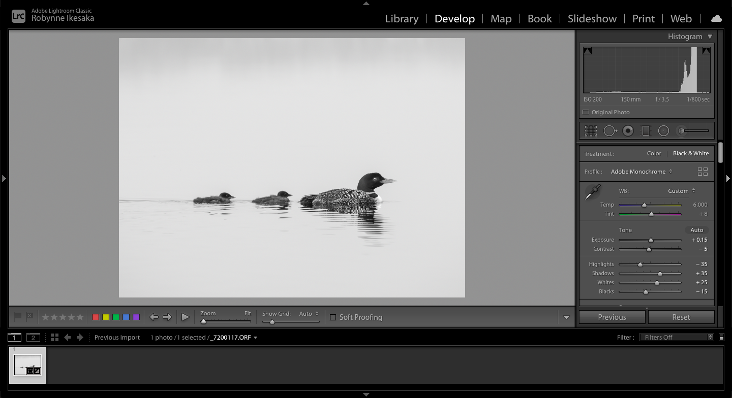 Screen Shot 2021-08-16 at 6.19.11 PM.png