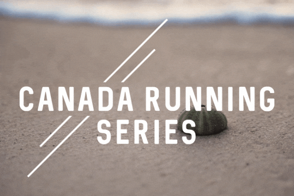 The Runners Shop (5).gif