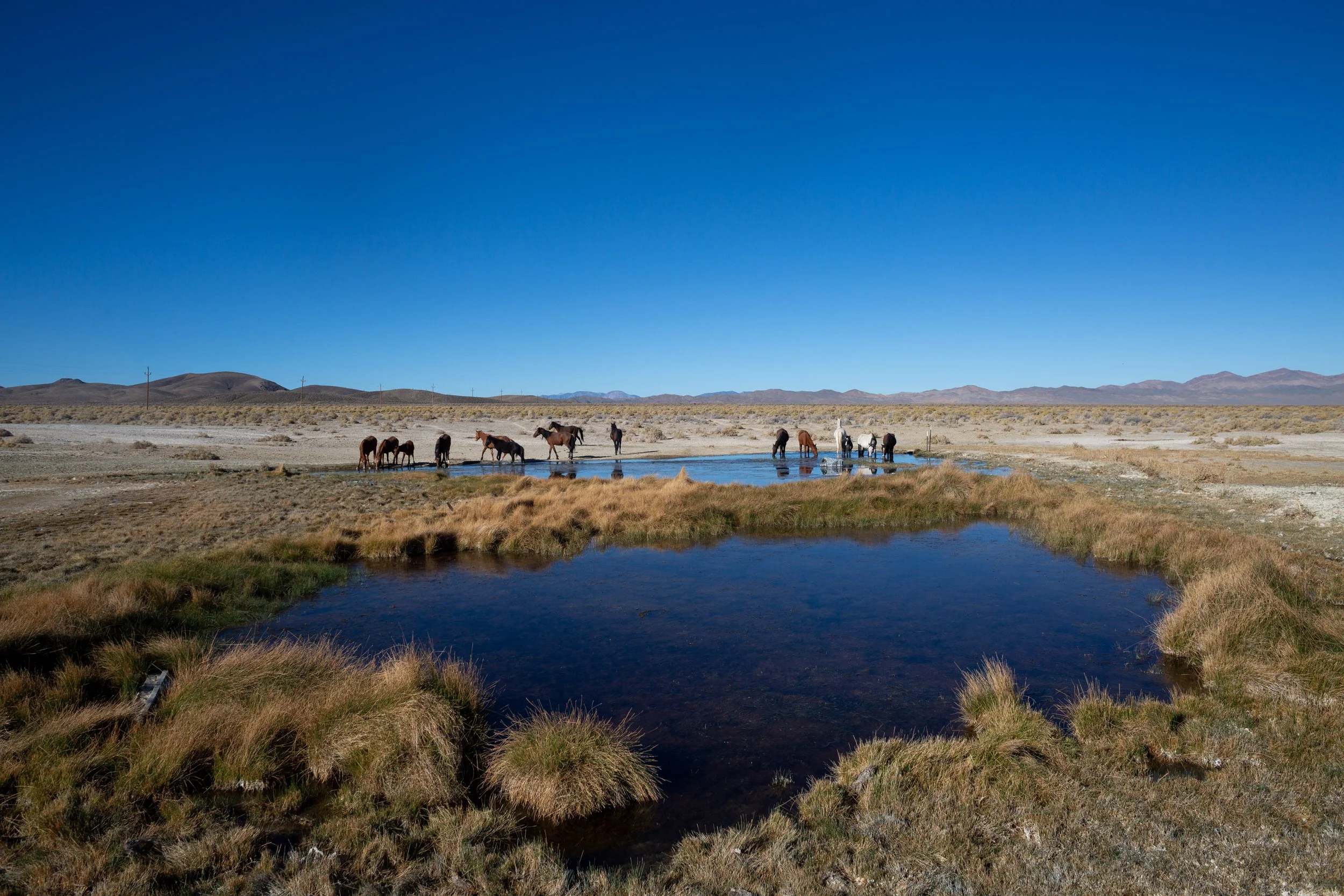 Alkali Flat Hot Spring — Digital Vagabundo