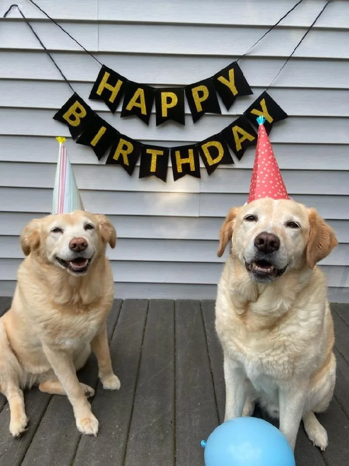 Duke and sammi HBD.jpeg