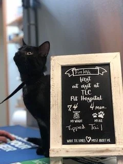 Finley_Vargas.jpg