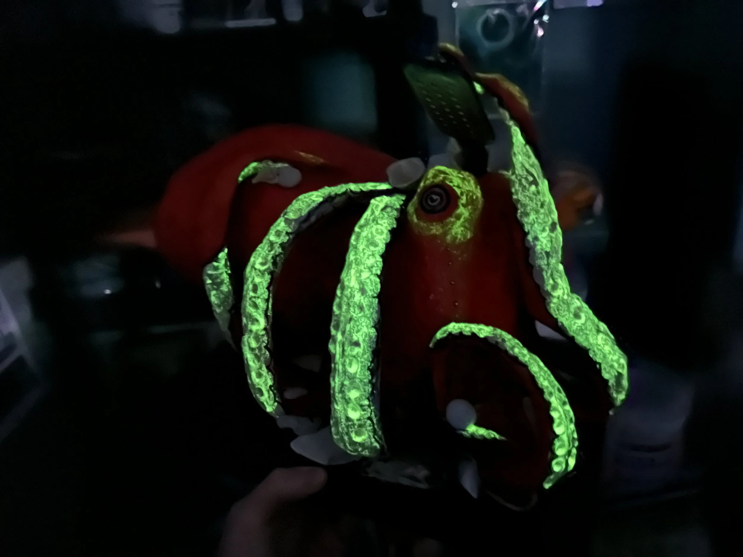 She also glows in the dark!