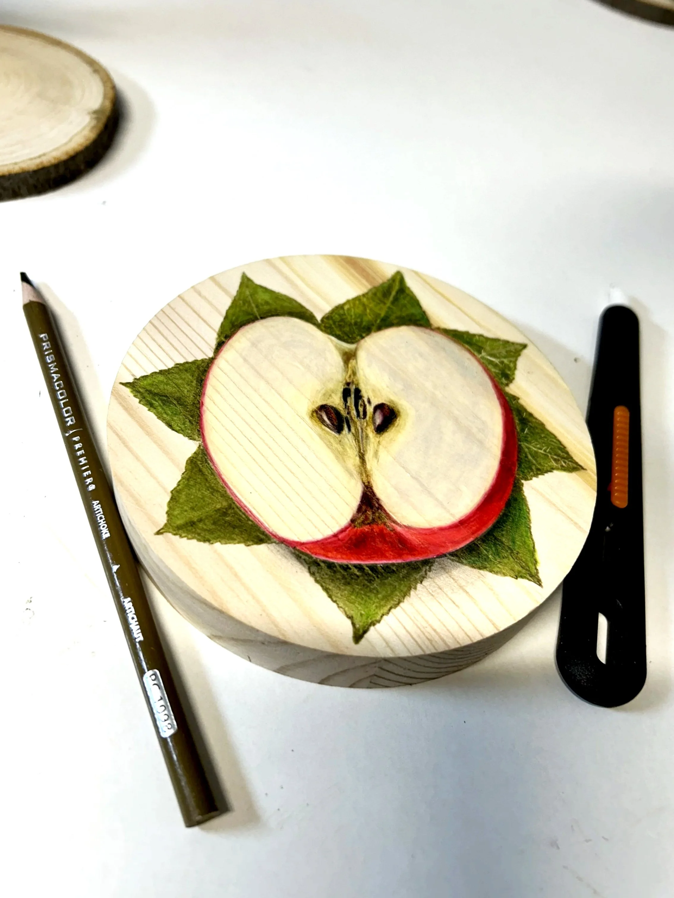 Sliced - colored pencil on wood