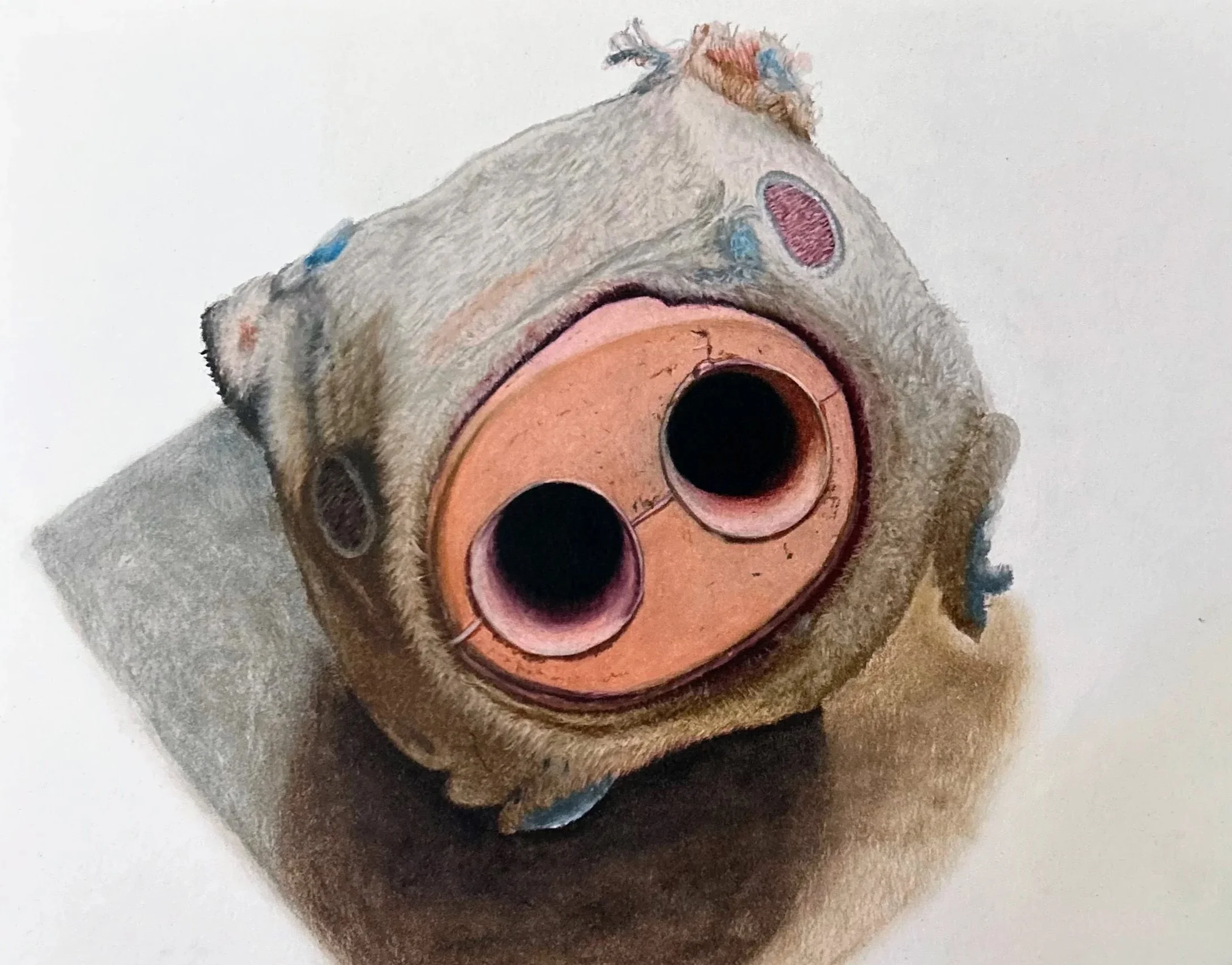 Well Loved Pet Toys Series: Pig Ball -
colored pencil

