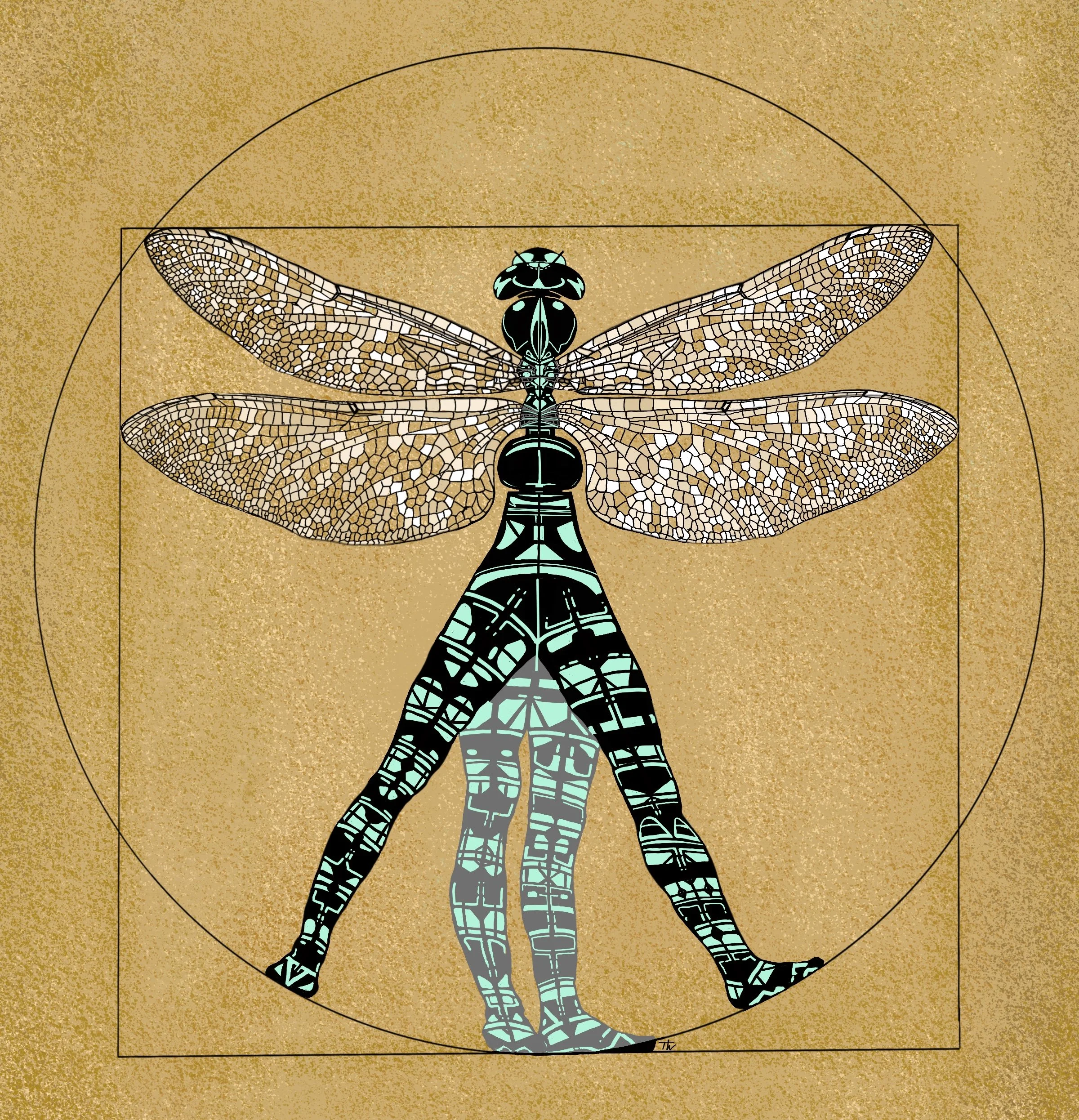 Vetruvian Dragonfly - digital illustration