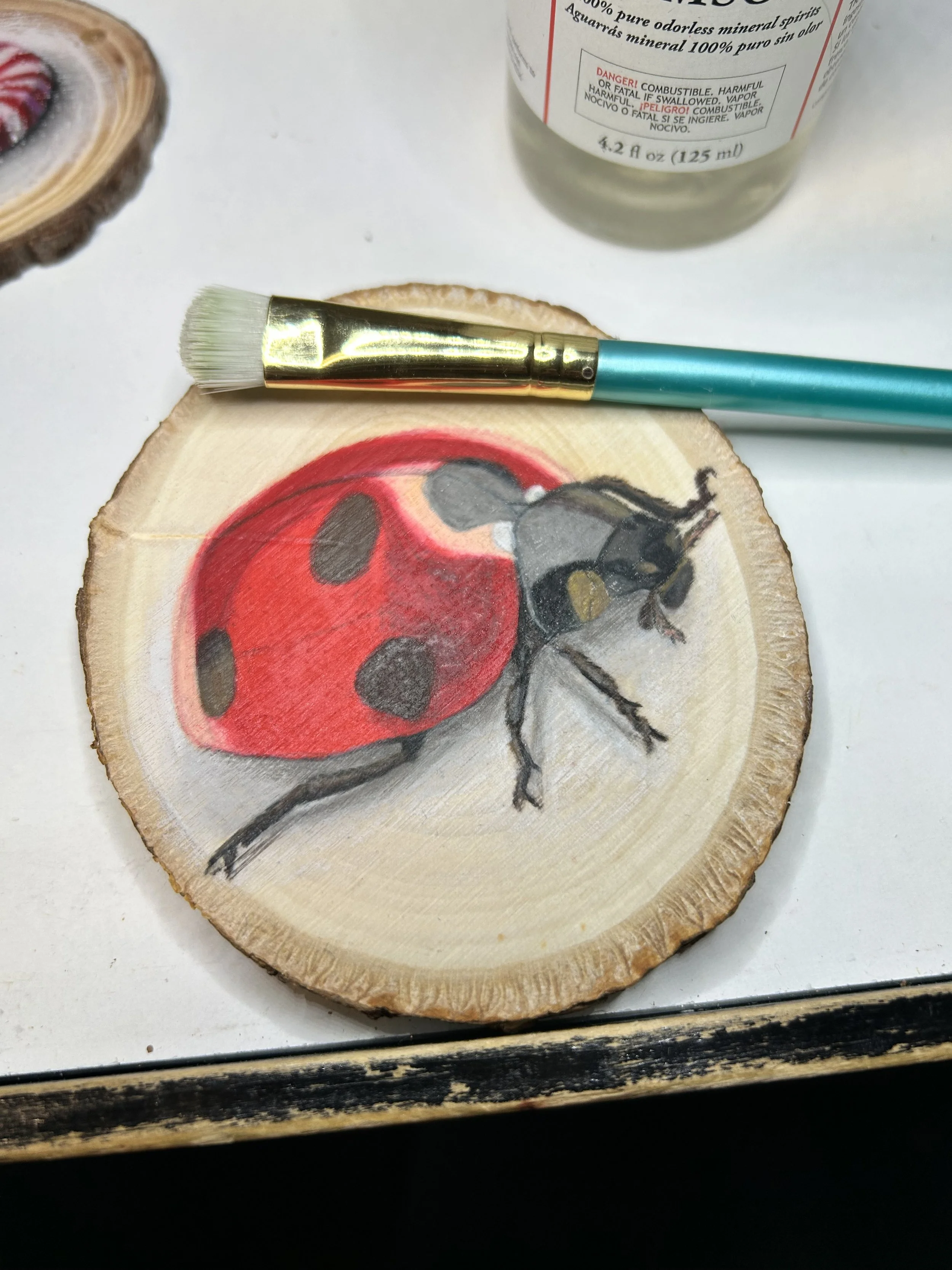 Ladybug friend - colored pencil on wood