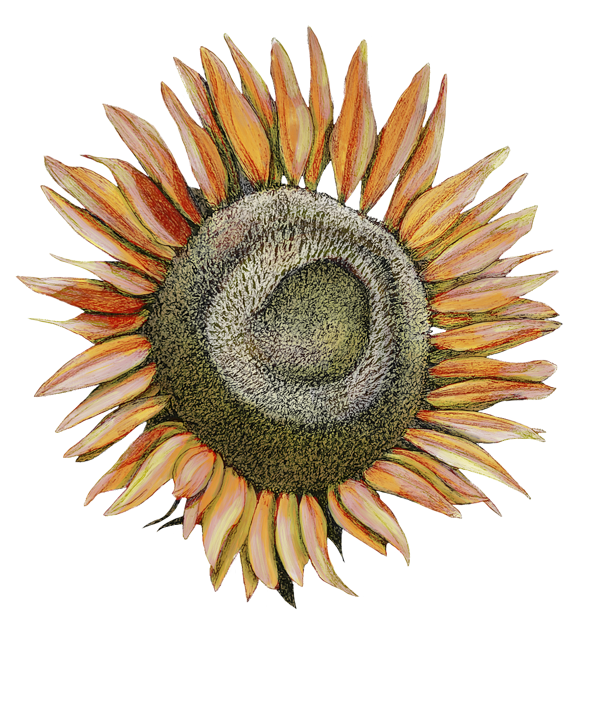 Autumn - ink, colored pencil