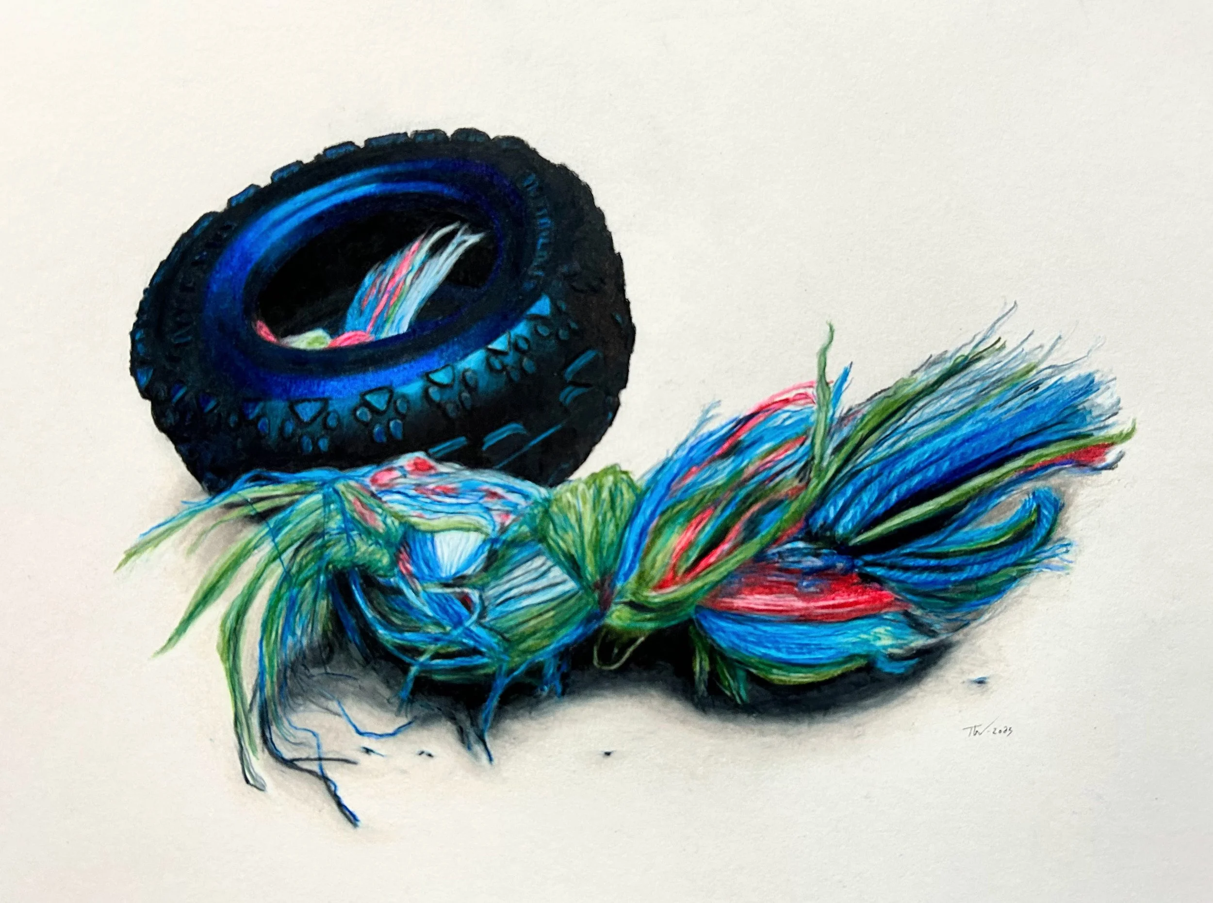 Well Loved Pet Toys Series: Rope Toy - colored pencil
