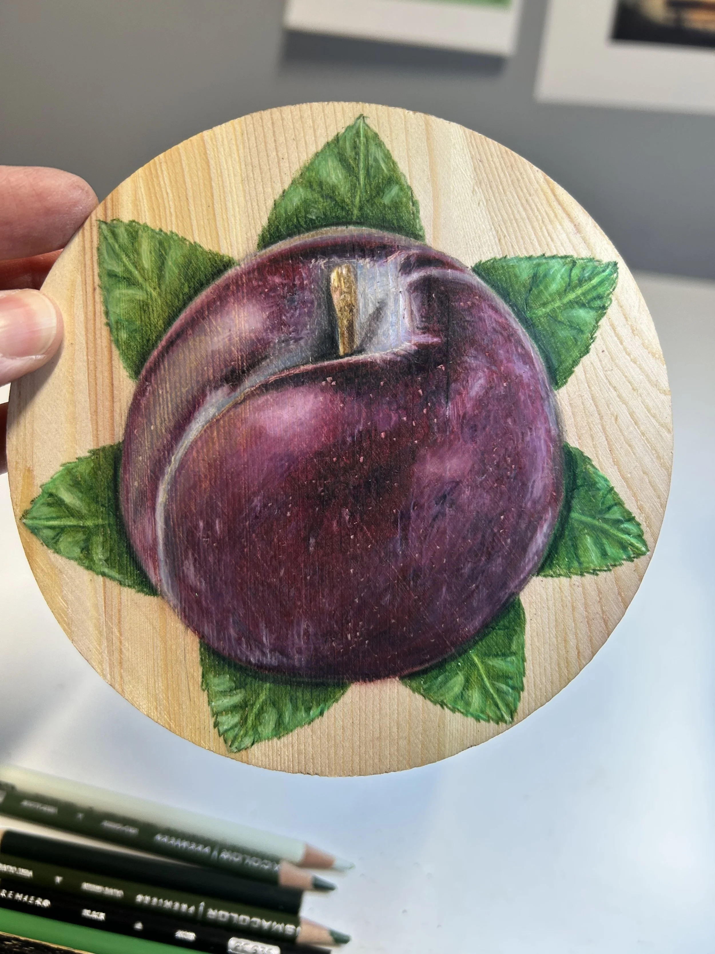 Plumb - colored pencil on wood