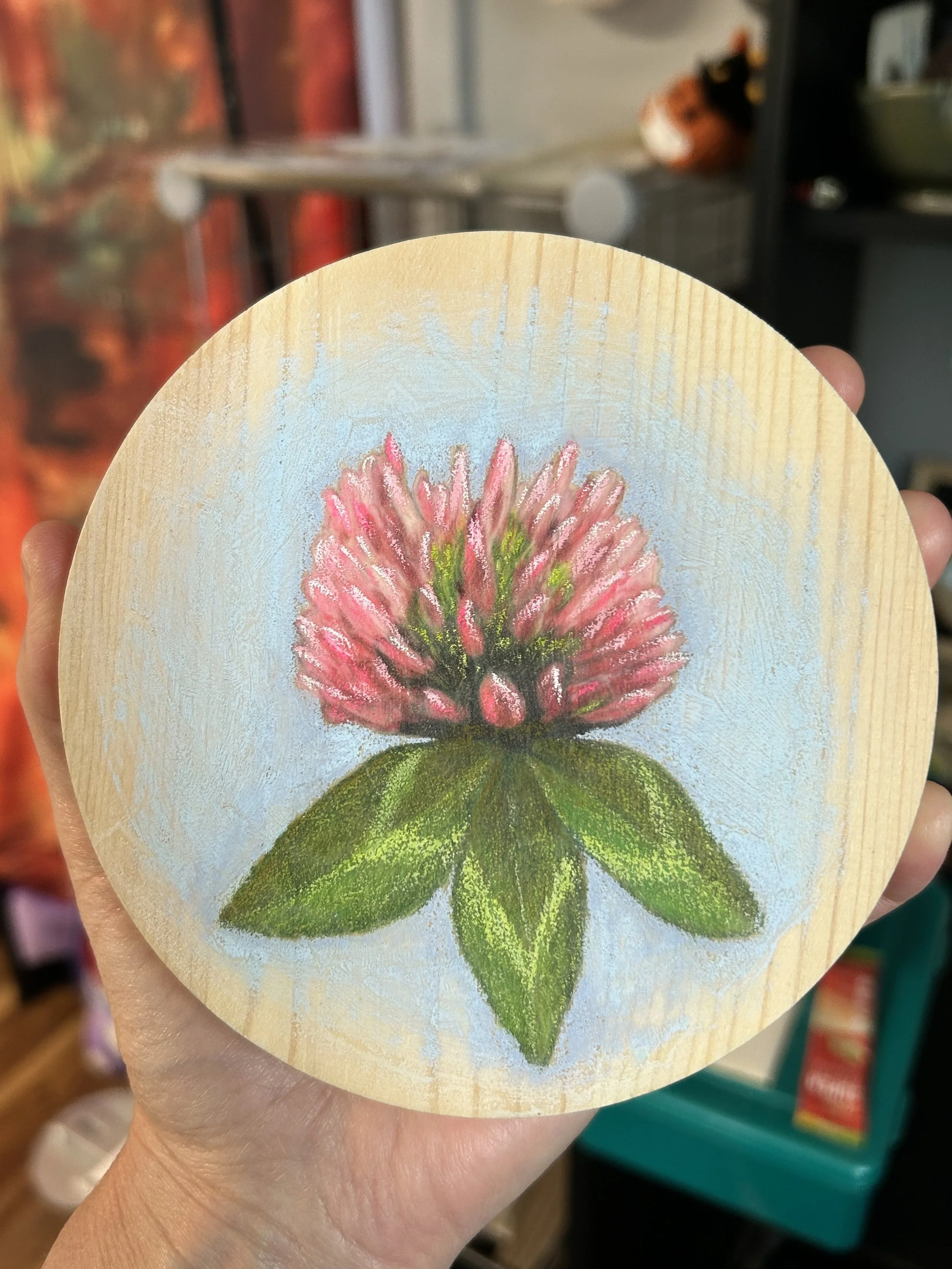 Red Clover - colored pencil on wood