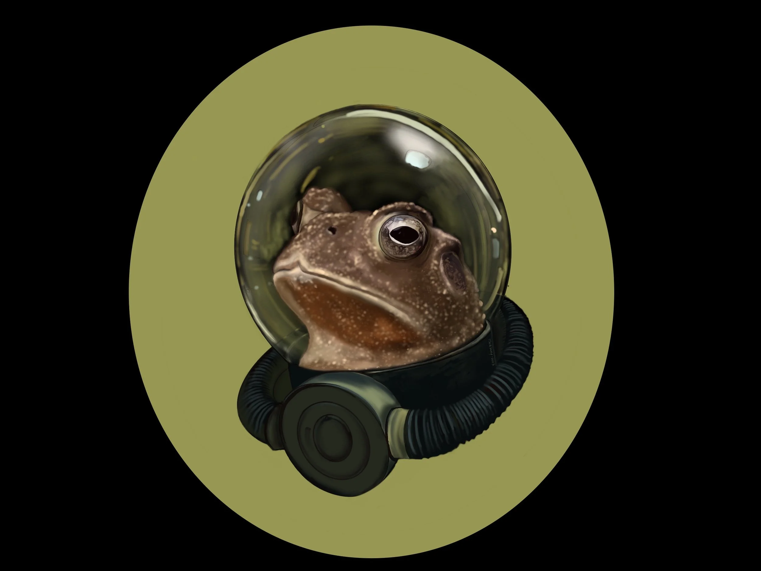 Space Toad - digital illustration 