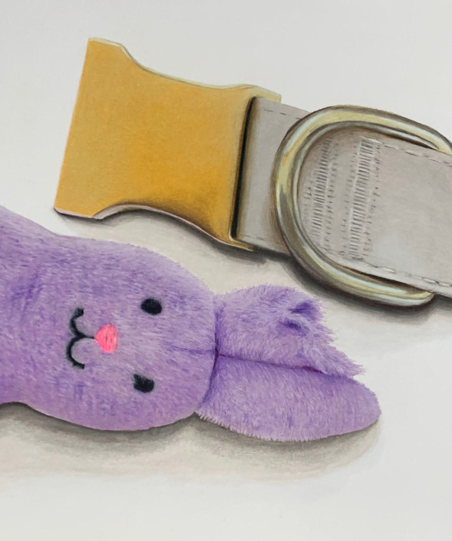 Well Loved Pet Toy Series: Bunny - colored pencil