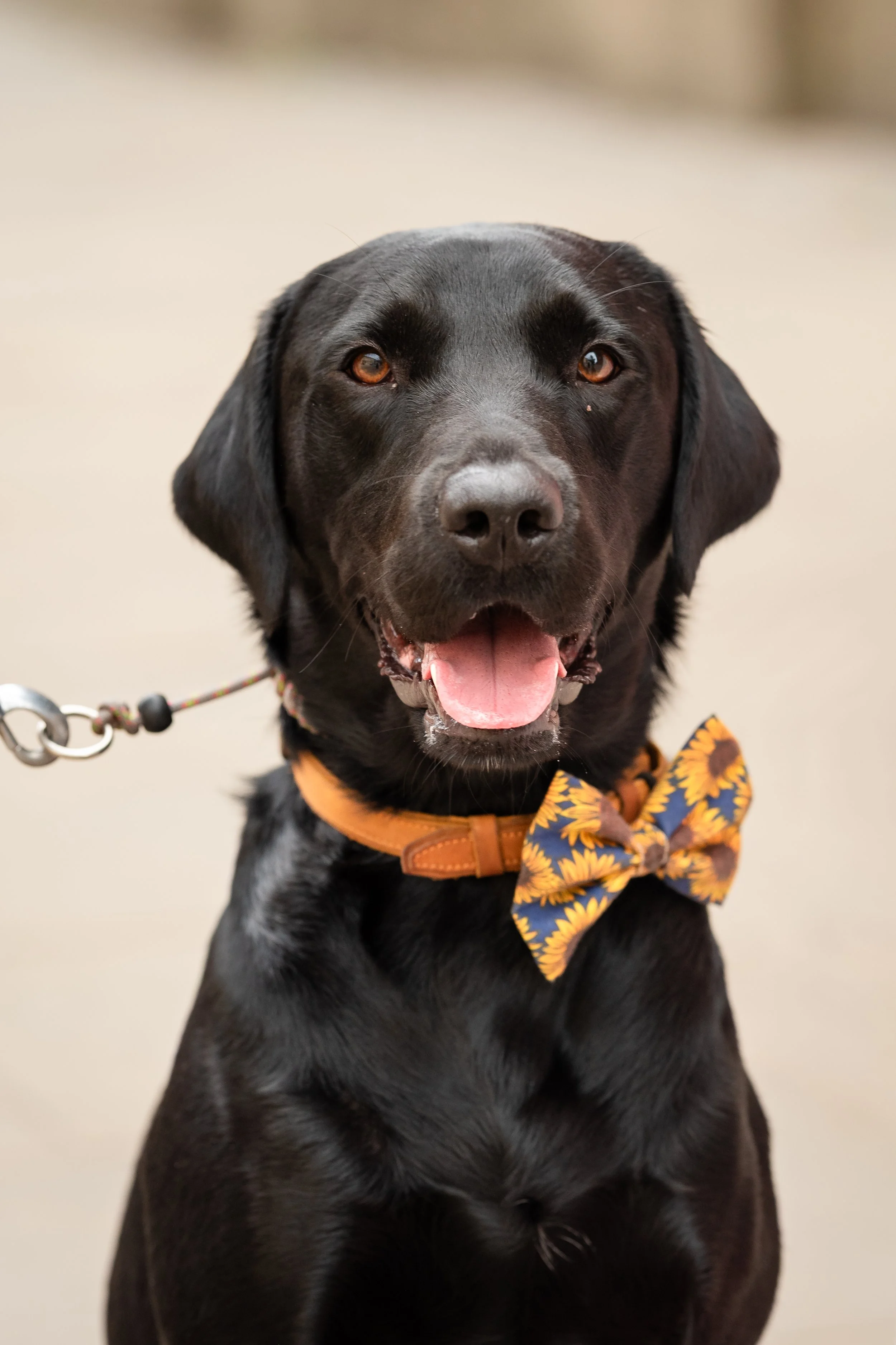 Divya Vadivel-24.jpg