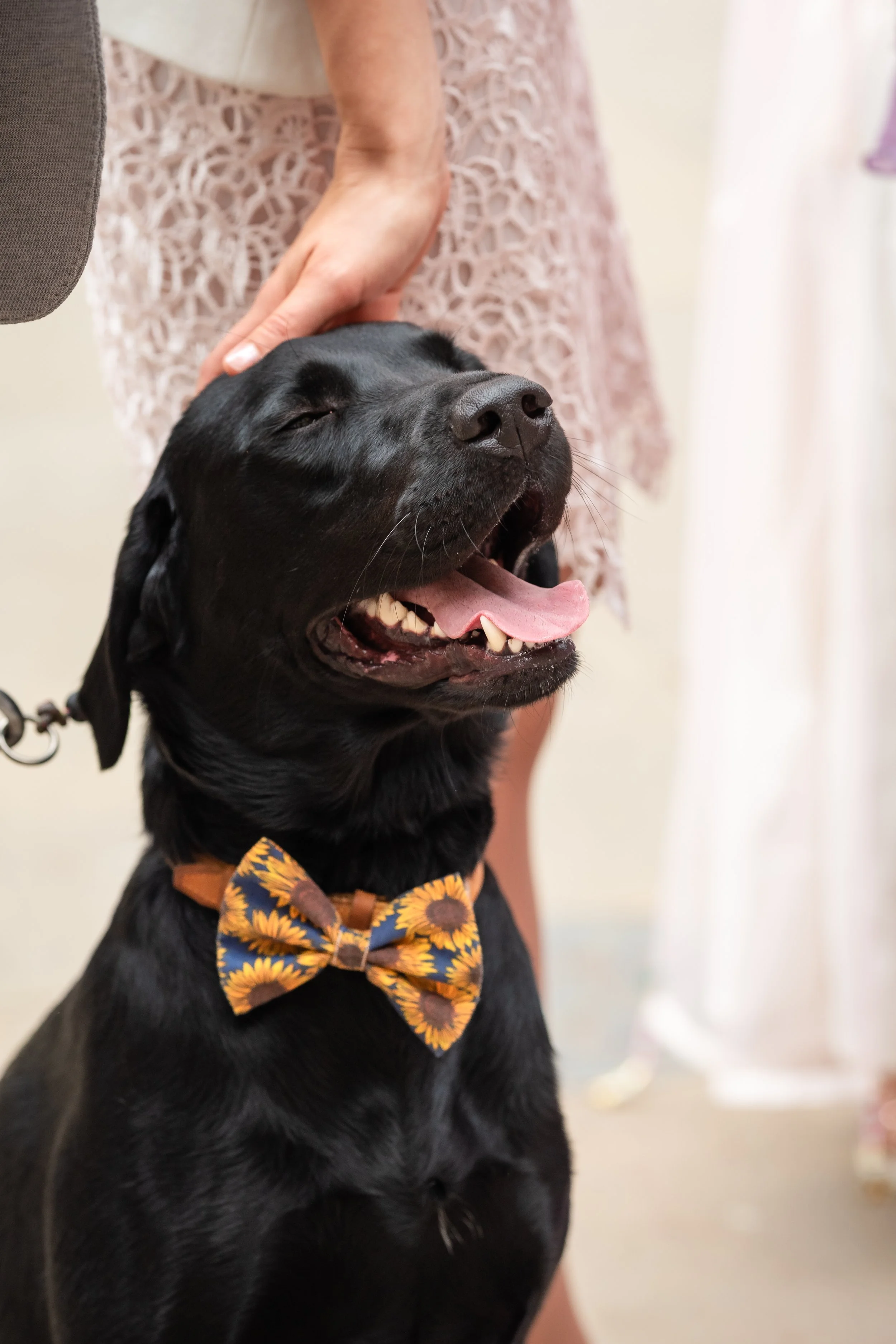 Divya Vadivel-176.jpg