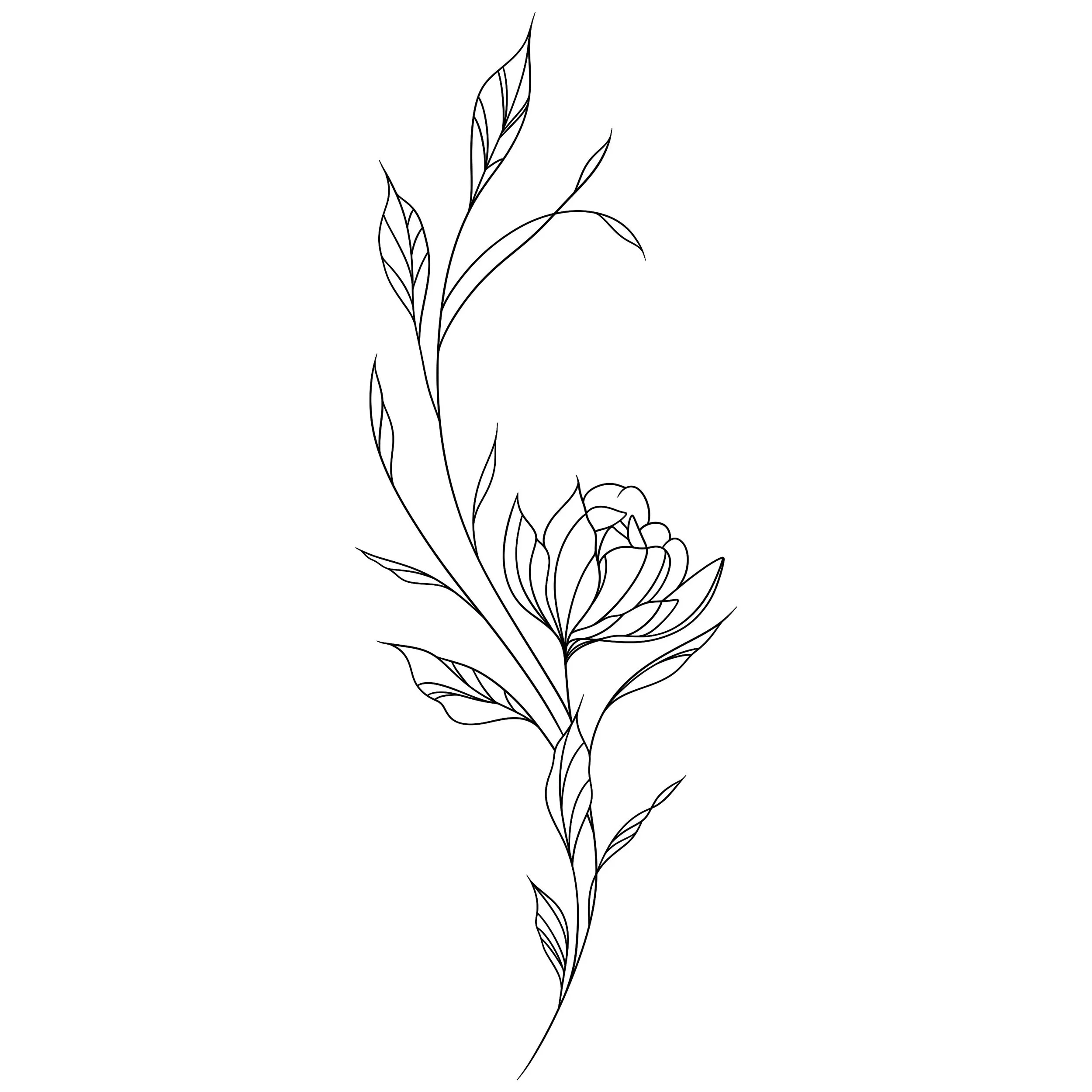 HOUSEPLANT BASKET ARRANGEMENT