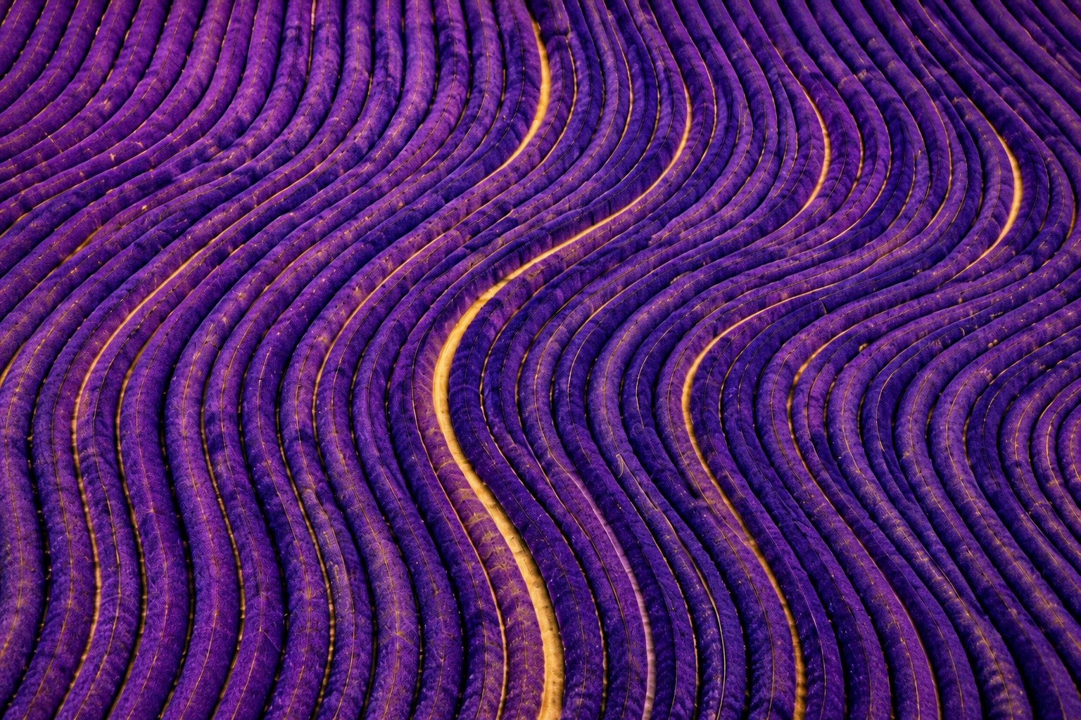 PROVENCE.PNG