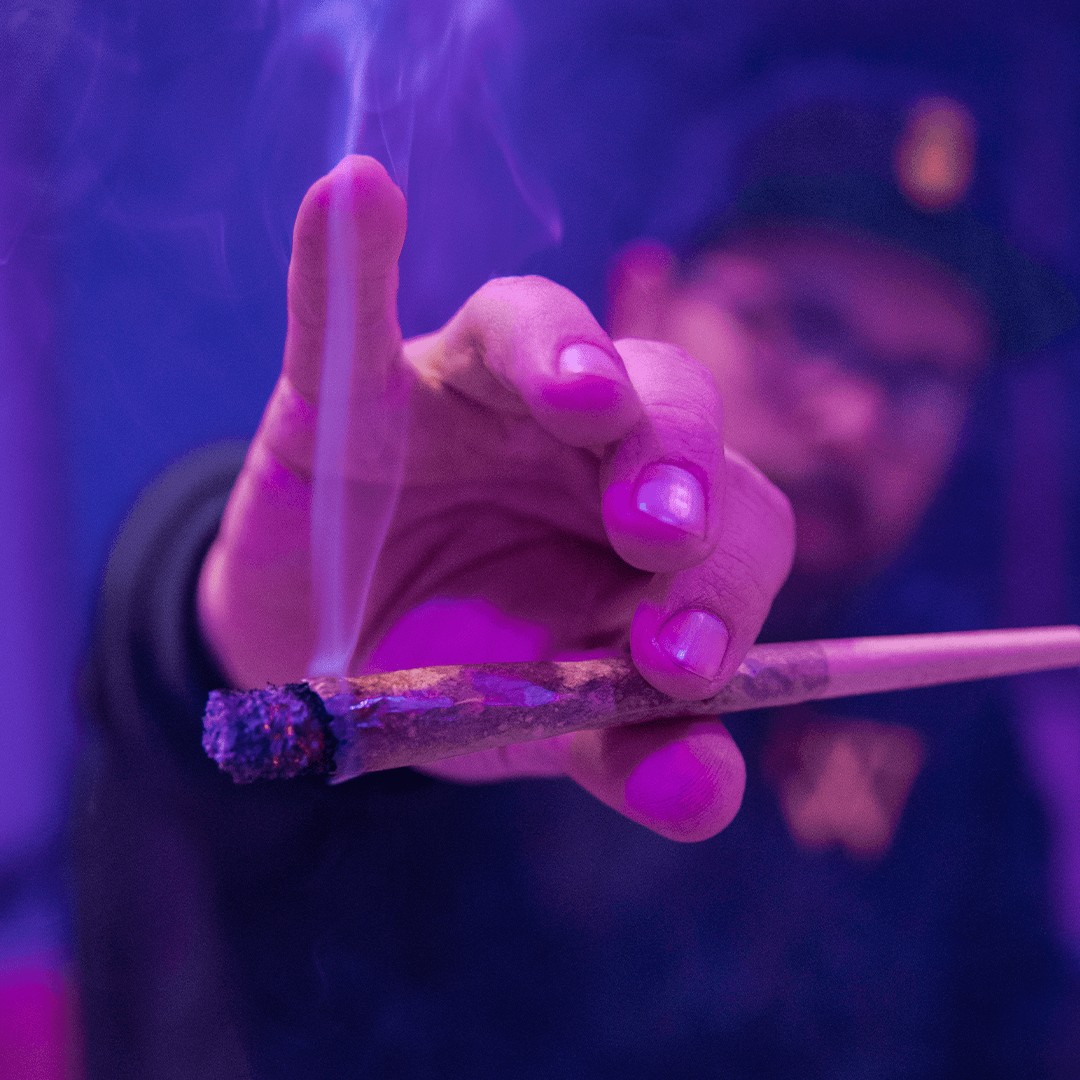 Wonderbrett founder Brett Feldman passing a lit joint toward the camera, framed in moody purple light with smoke rising. Premium California cannabis from Wonderbrett.