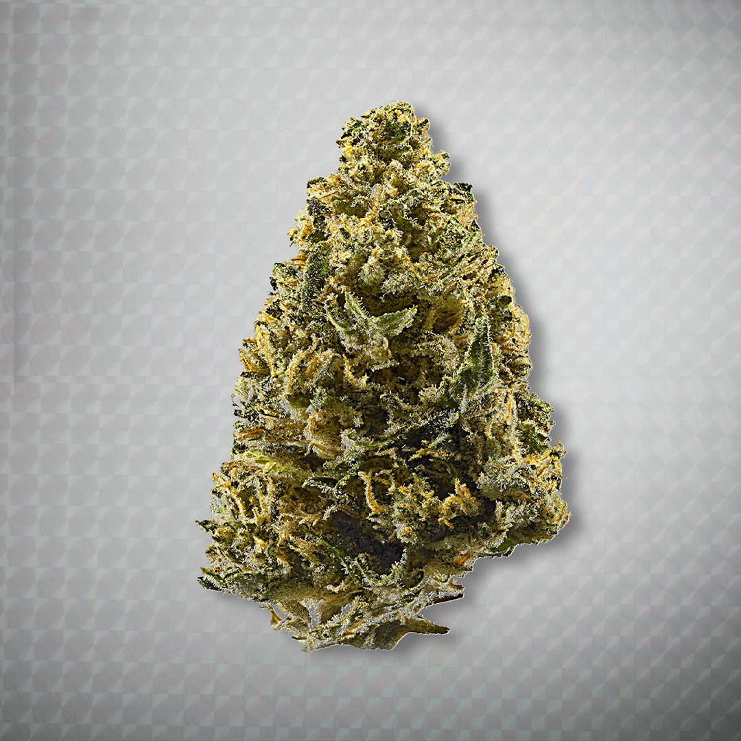 Close-up of a Wonderbrett Northern Lights cannabis flower on a light gray textured background, trichome-covered with golden-green hues and orange pistils.