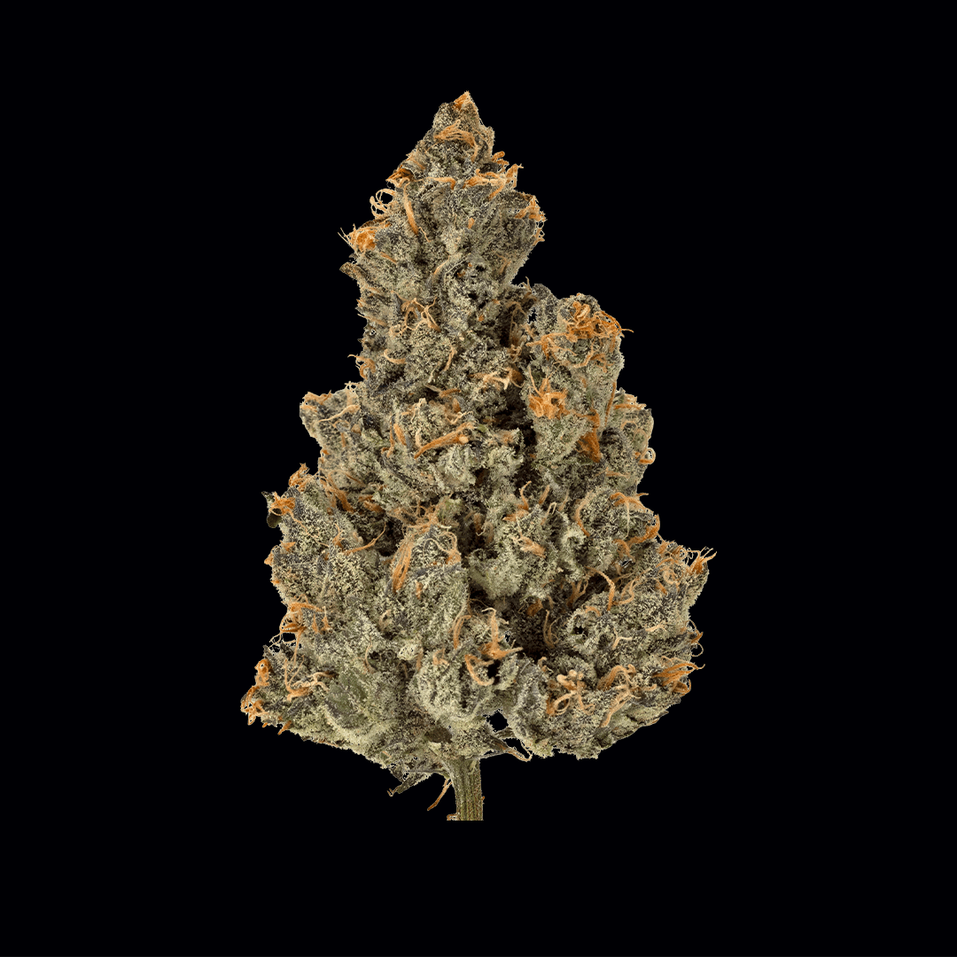 Wonderbrett Peach OZ cannabis flower, a dense trichome-frosted bud with bright orange pistils on a black background. Premium small-batch California flower by Wonderbrett.