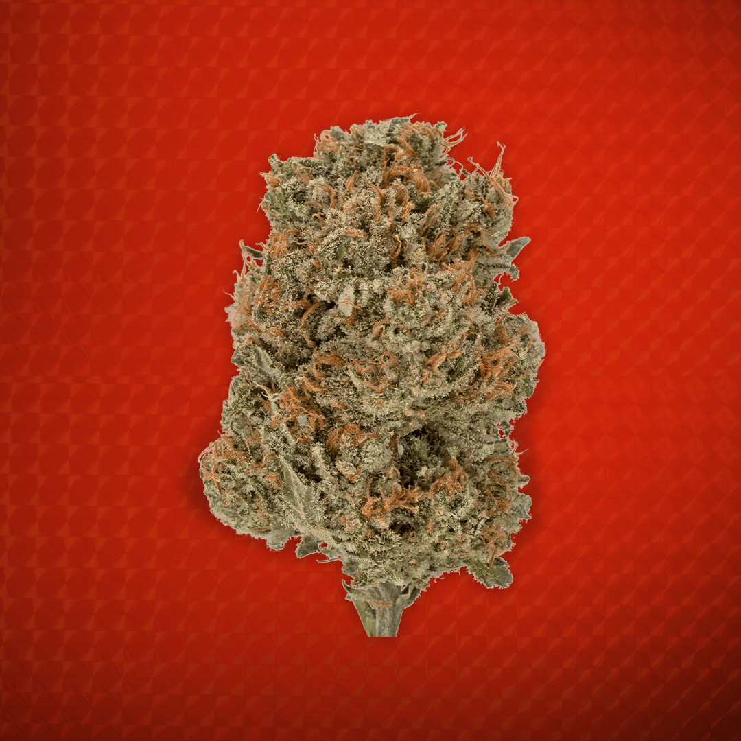 Close-up of a Wonderbrett Strawberry Bliss cannabis flower on a red textured background, densely trichome-covered with orange pistils and olive-green hues.
