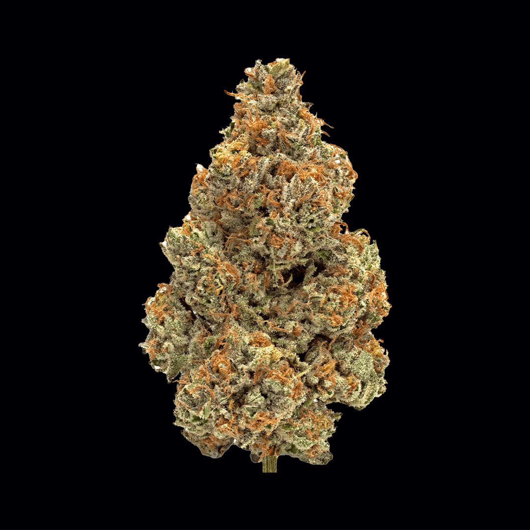 Close-up product shot of a Wonderbrett Pineapple OG cannabis flower bud on a black background, showing dense trichome coverage, olive-green calyxes, and bright orange pistils.