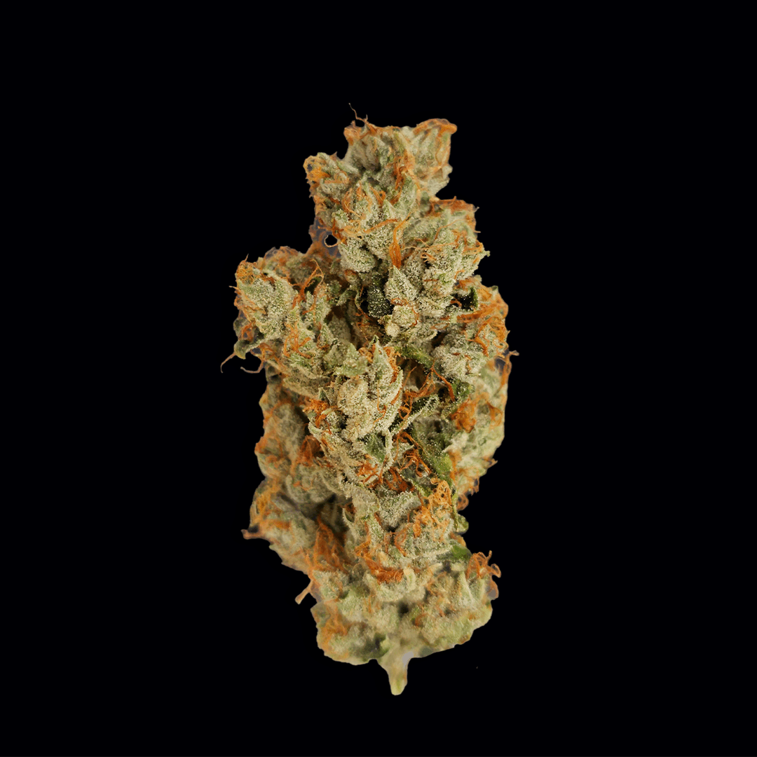 Close-up product shot of a Wonderbrett Sour Diesel cannabis flower bud on a black background, showing an elongated, twisted cola with light green calyxes, dense trichomes, and long curly orange pistils throughout.