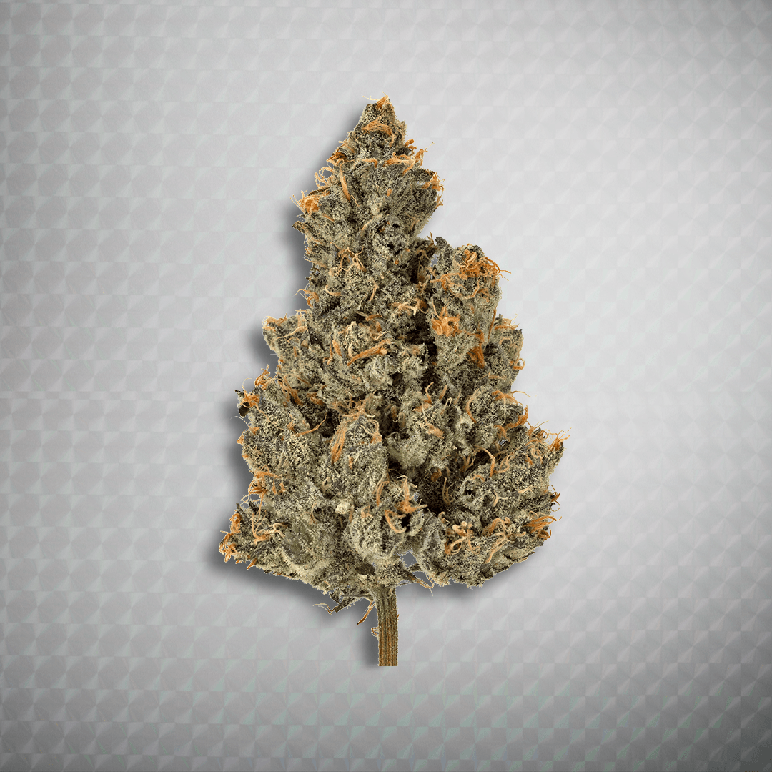 Close-up product shot of a Wonderbrett Peach OZ cannabis flower bud on a white background, showing a large conical cola with dark purple-tinged calyxes heavily frosted with trichomes and long orange pistils, on a visible stem.