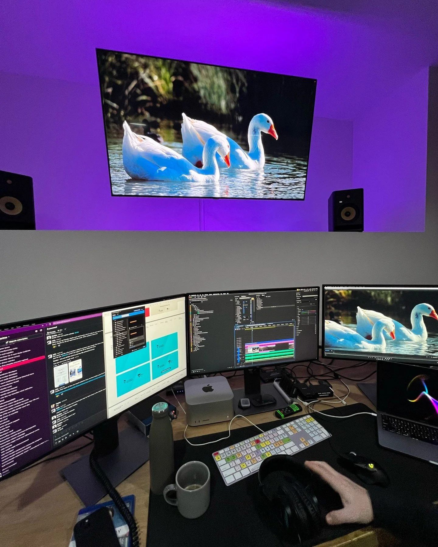 We cast these swans for our lifestyle commercial &mdash; they insisted on first dibs at the lake. 🦢🎬

Proof that great lifestyle videos are all about natural talent. 

#swans
#800mmlens
#lifestyle 
#videoproduction