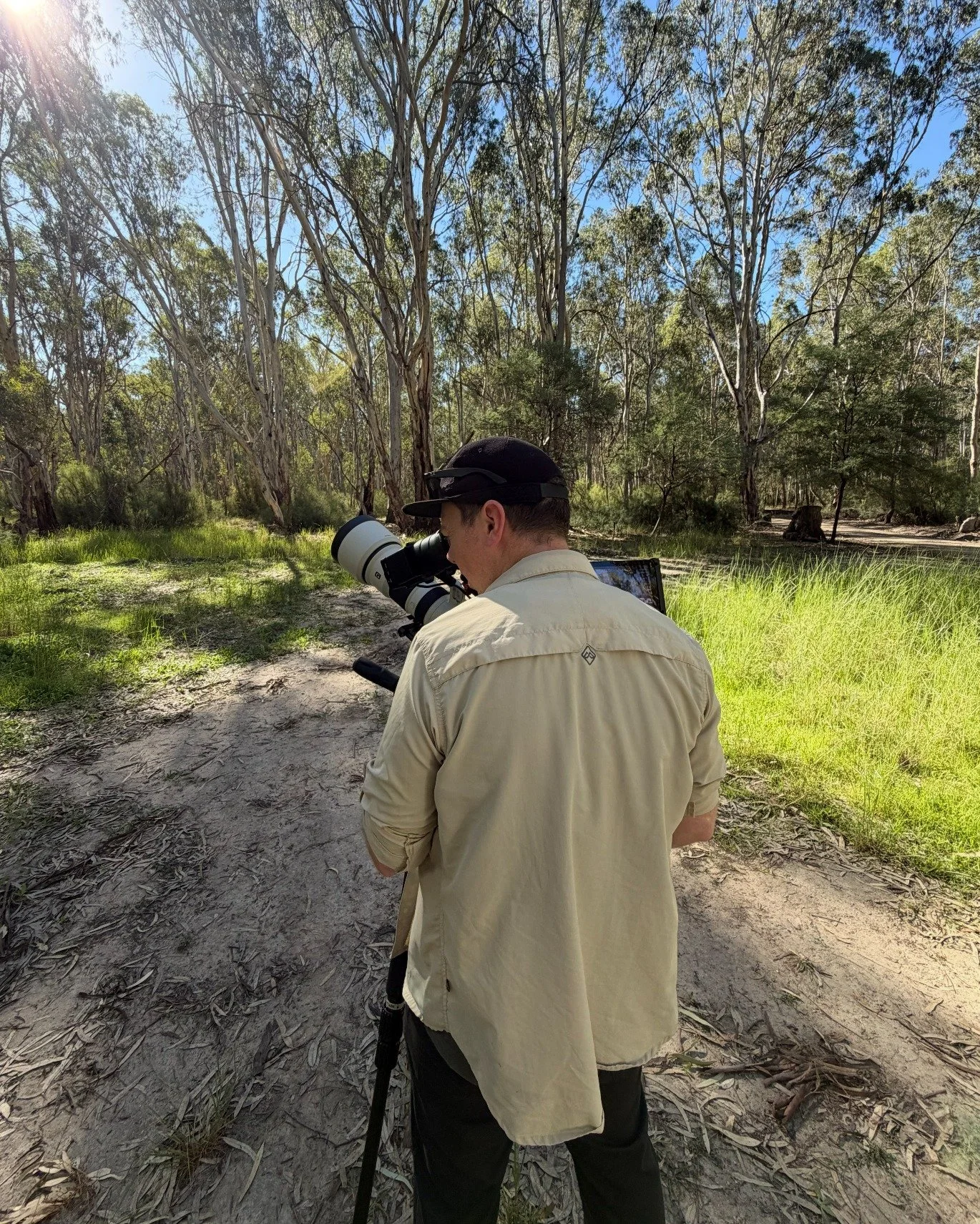 Extreme 800mm lens getting us right into the action while keeping a respectful distance from the actors.

Today&rsquo;s actors: 🦜

#telephoto
#extremelonglens
#nature
#wildlife
#respectthewild
