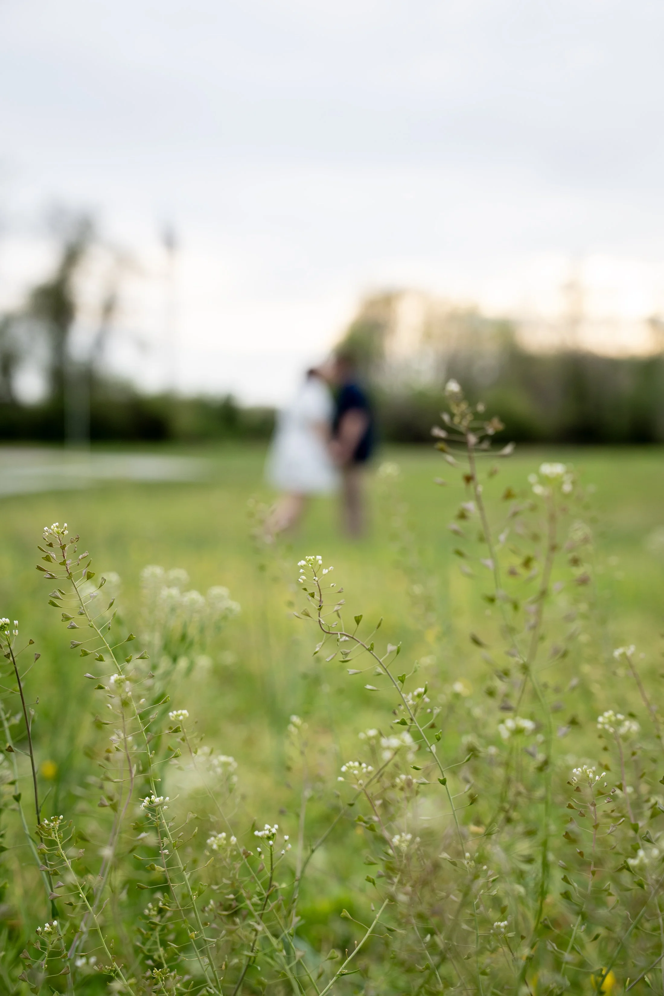 gillian-and-stephen-engagement-white-barn-venue-madison-indiana-shelby-marie-photography-42.jpg