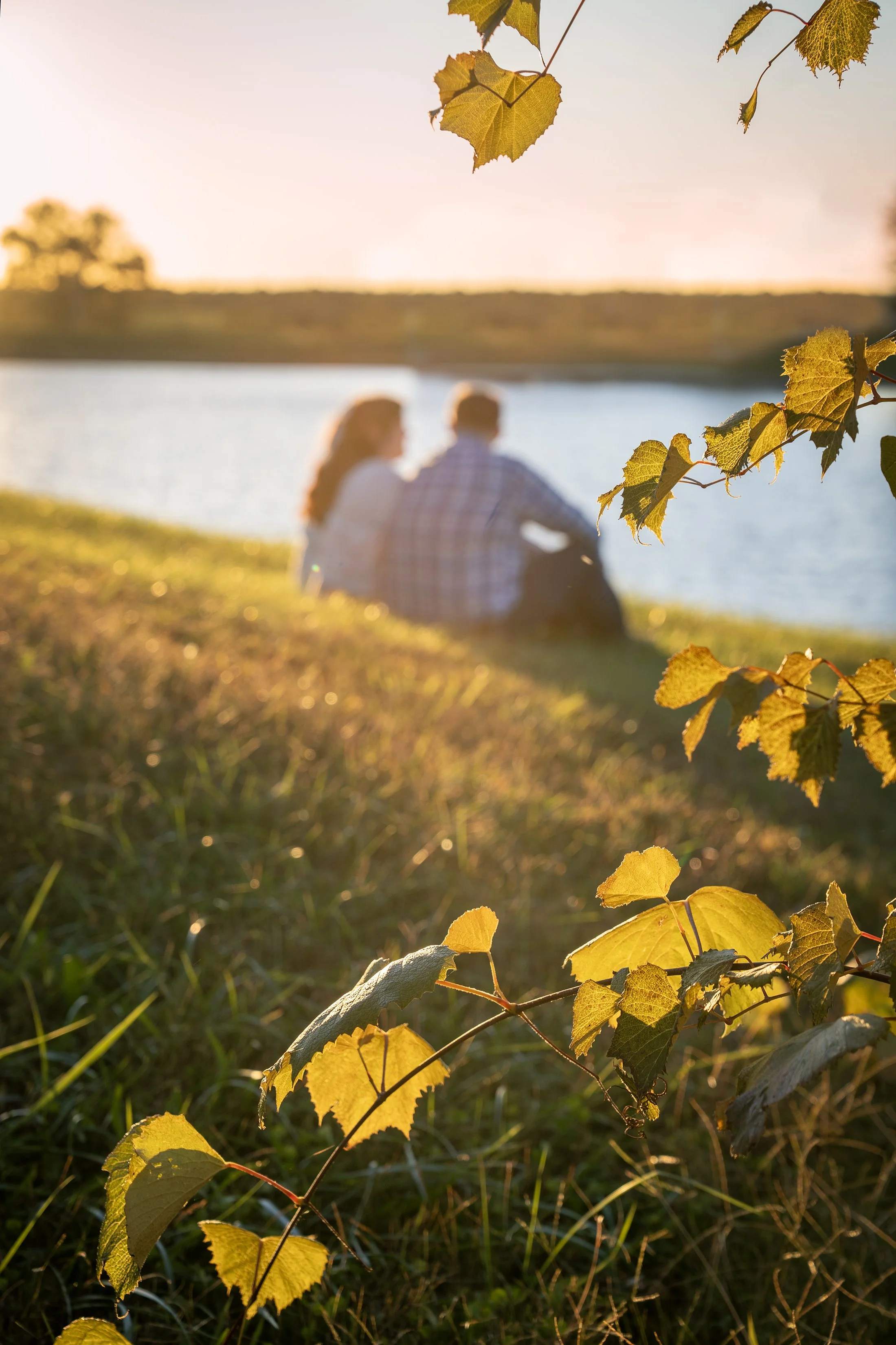 isabella-braxton-engagement-hubers-winery-orchard-indiana-shelby-marie-photography-Web_57.jpg
