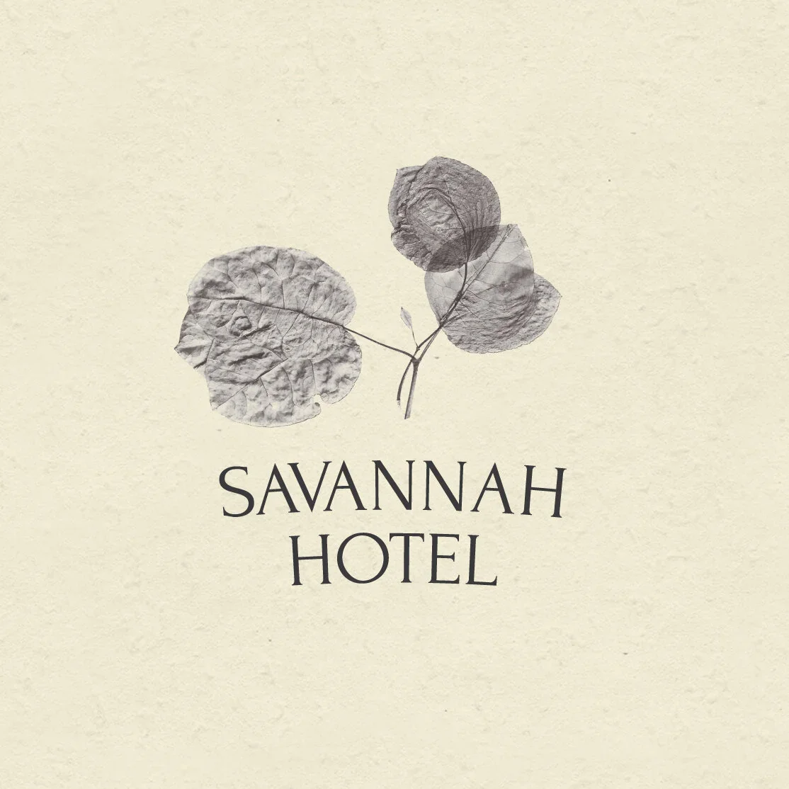 SavannahHotel_Branding2.webp