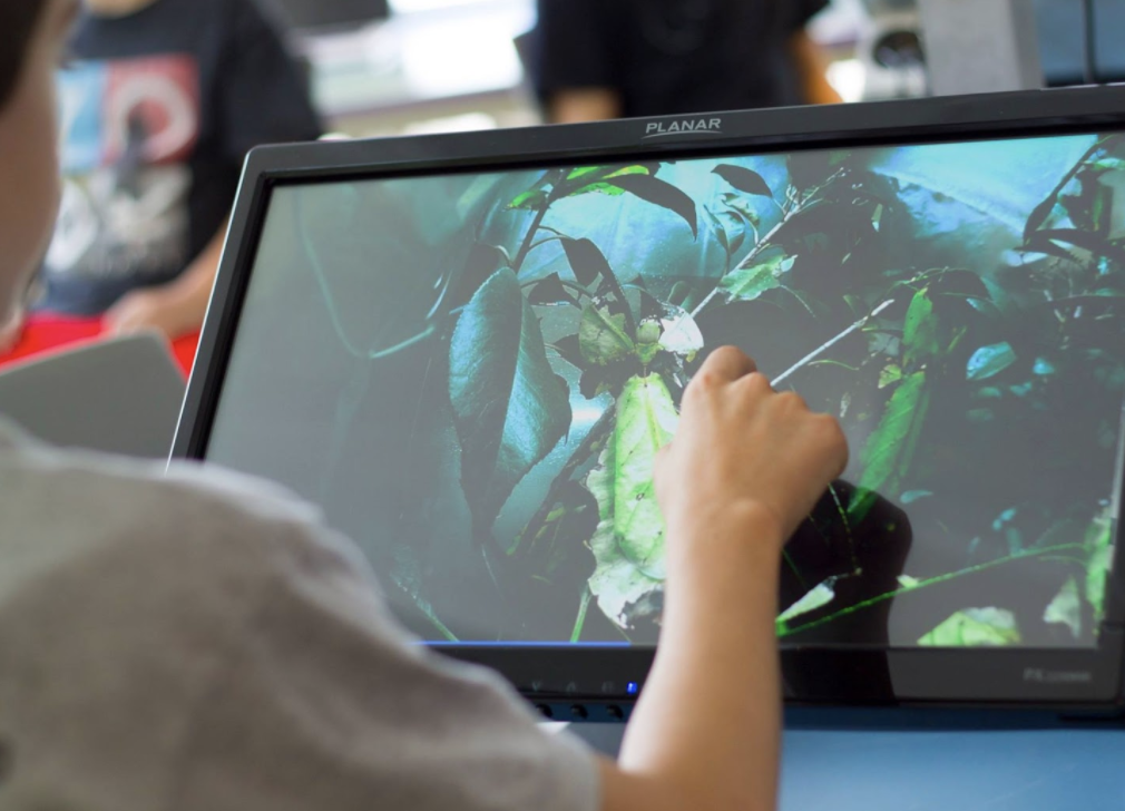 Screen Shot 2020-07-14 at 1.18.25 AM.png