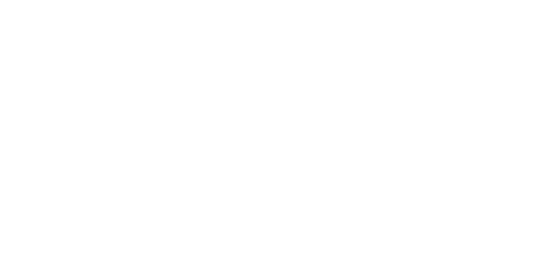 Epic_MegaGrants_Recipient_logo_White_WIDE.png