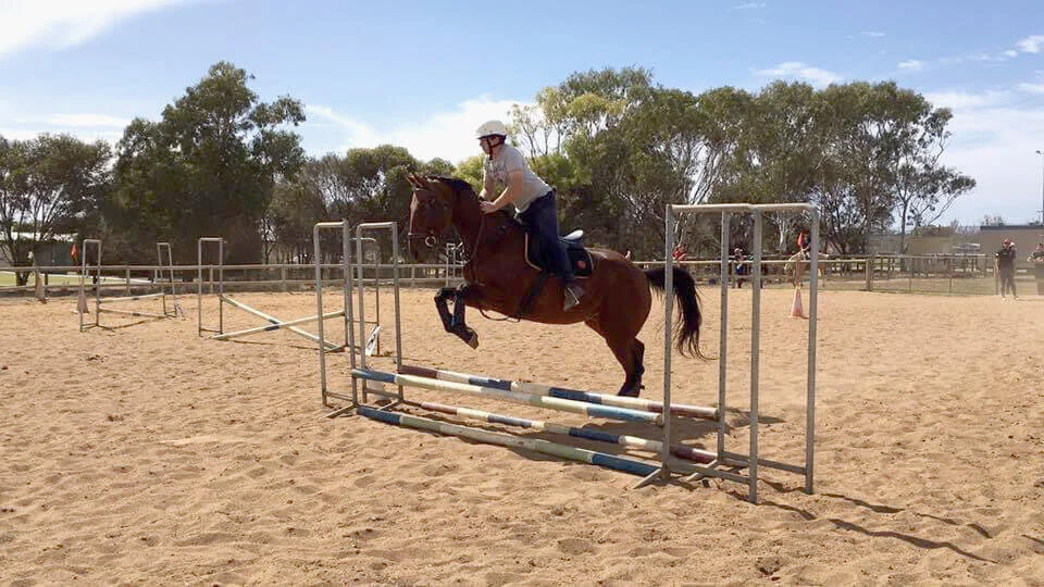 Chief the Horse.jpeg